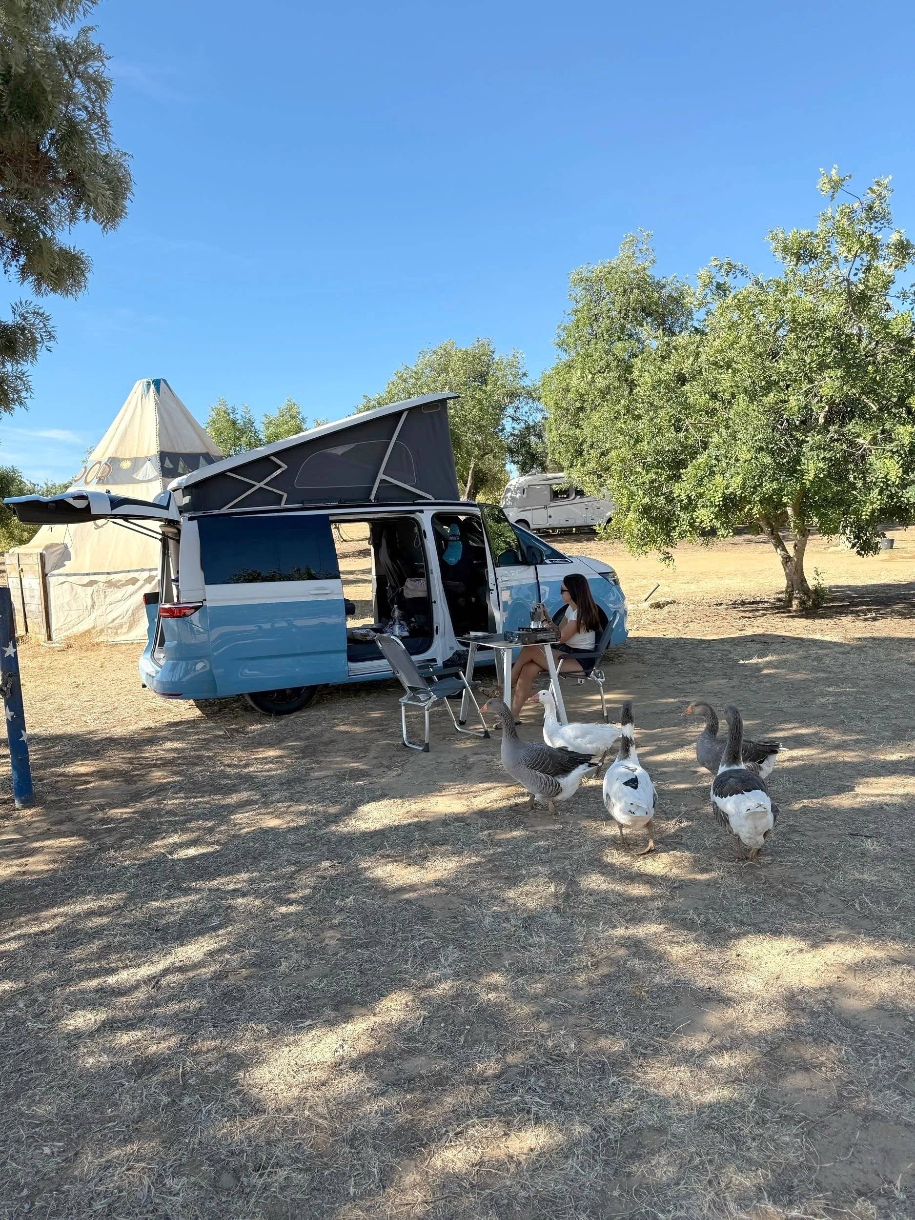 Volkswagen California Ocean