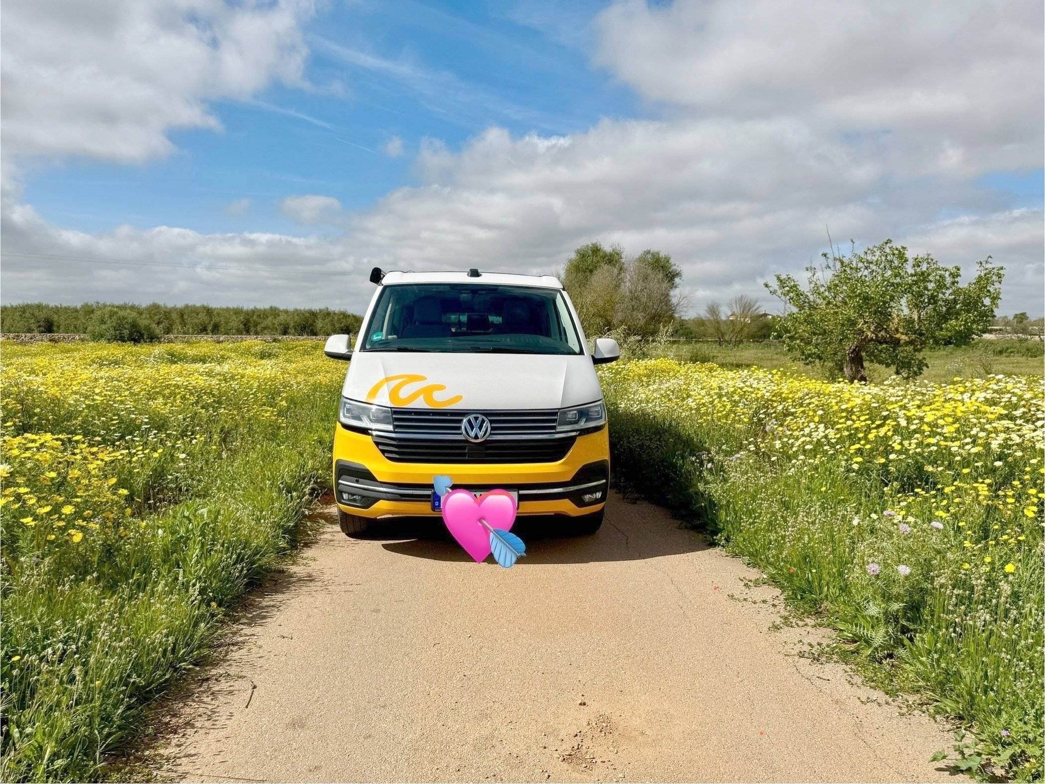 california Volkswagen T6.1