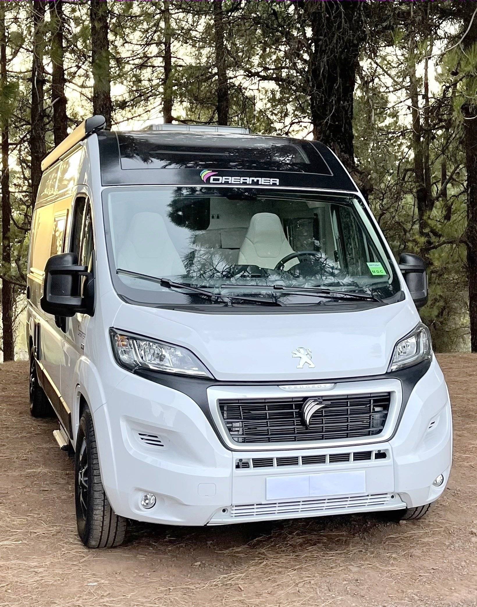 Dreamer Fun D55 Exclusive