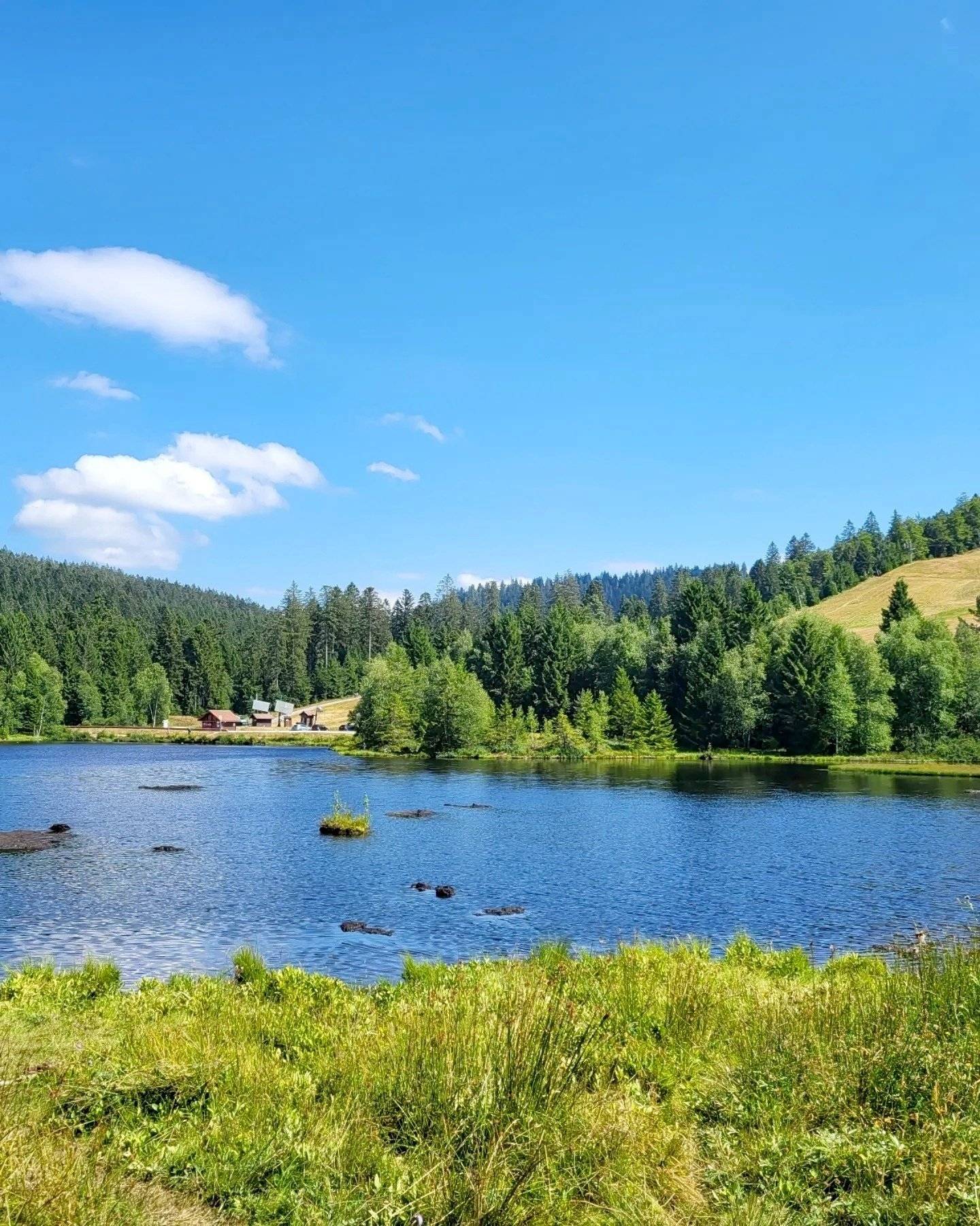 Volkswagen Transporter T5 L2H1 2 l 102 ch