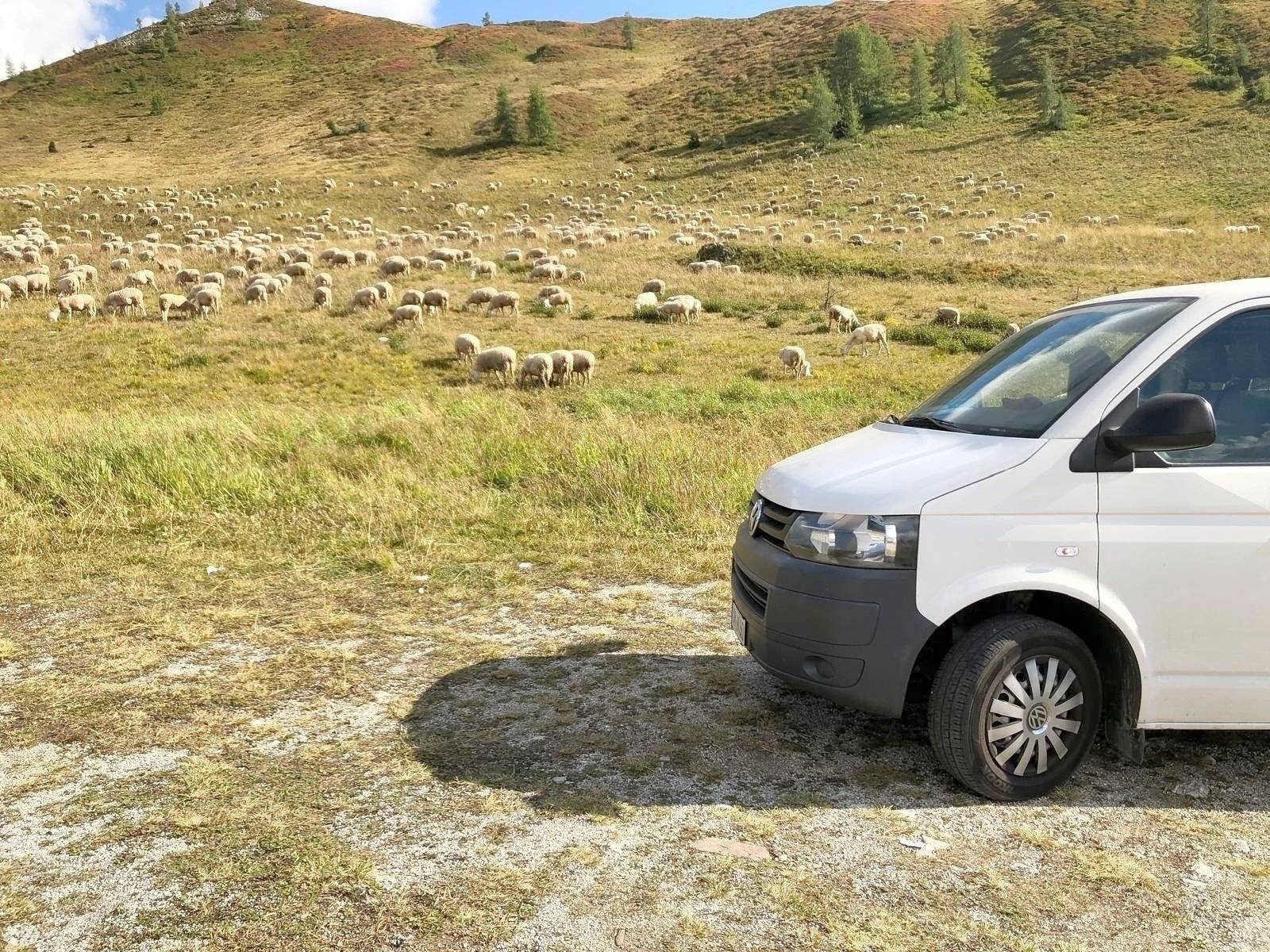 Volkswagen Volkswagen Transporter