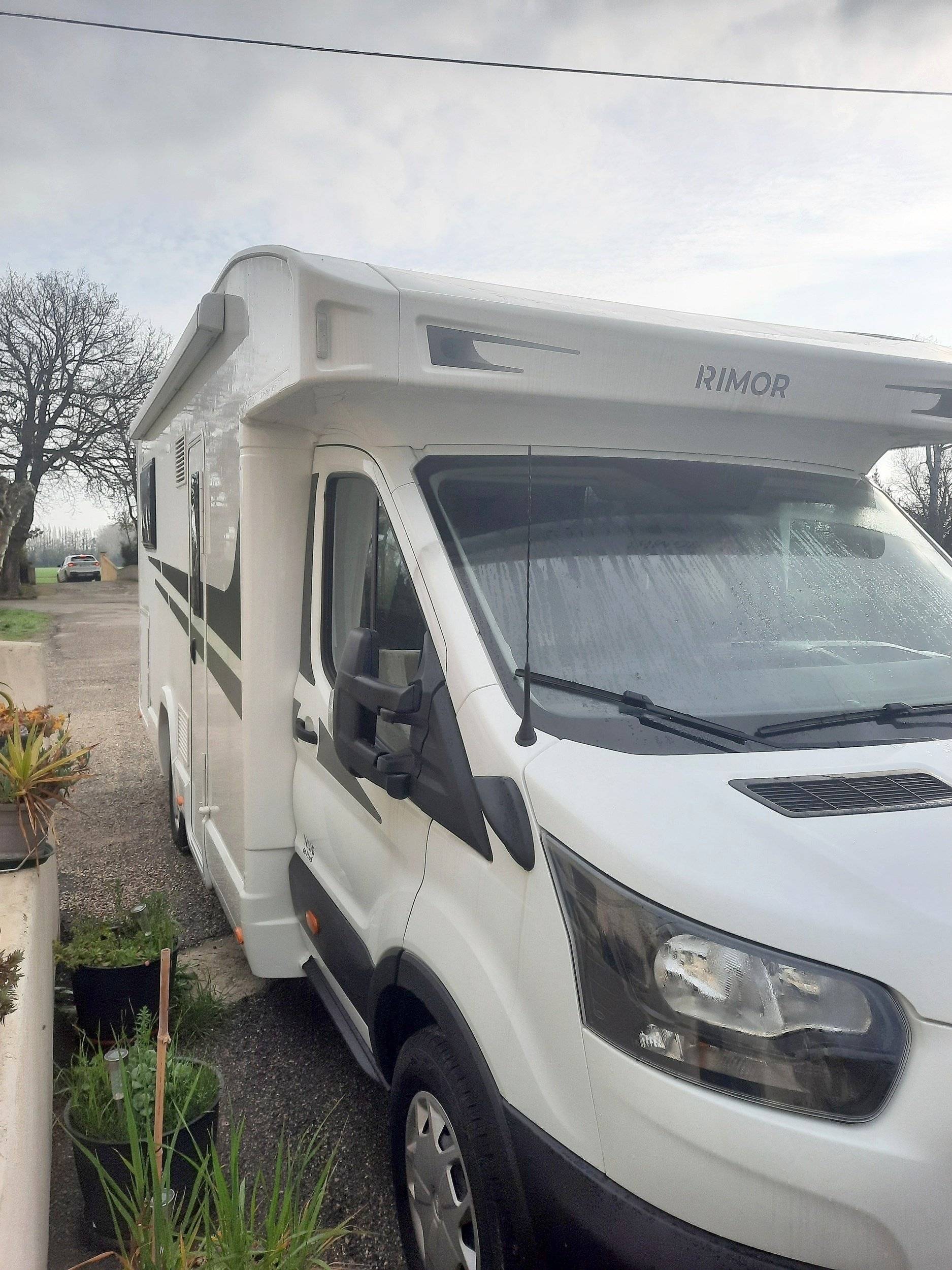 Rimor Rimor kilig 66 plus