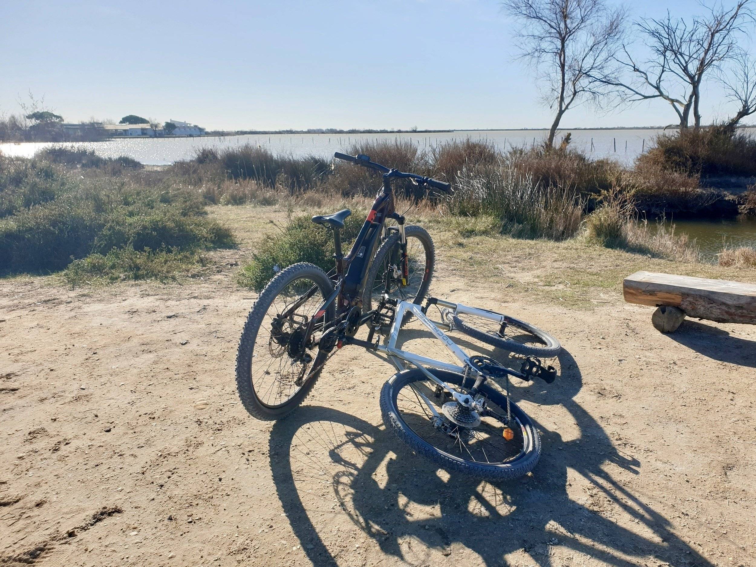 Bürstner-Gmbh C600 -City-car HARMONY LINE