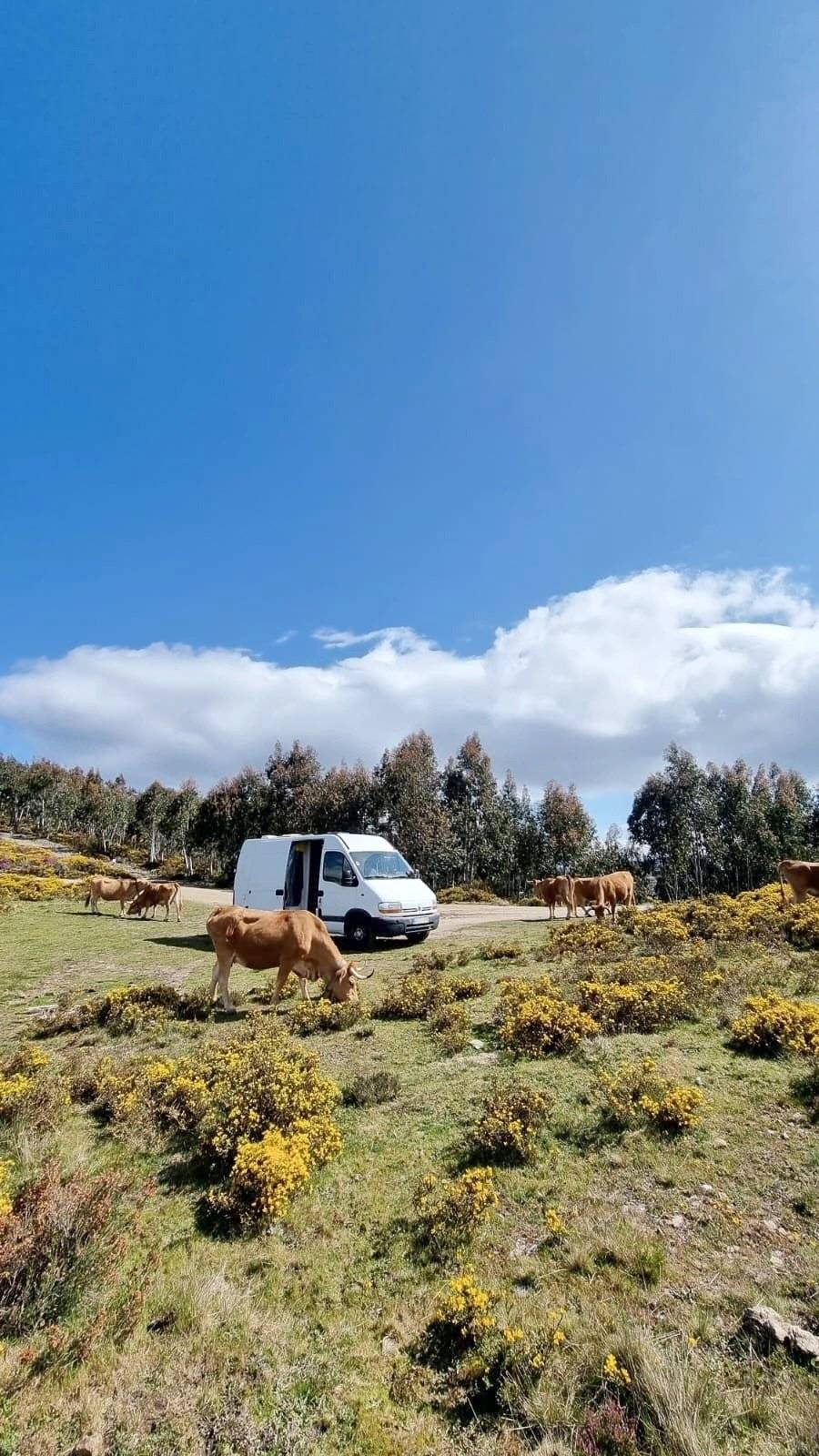 Renault Renault Master