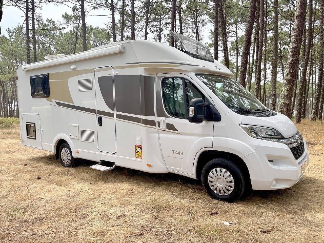 Carado T 449
