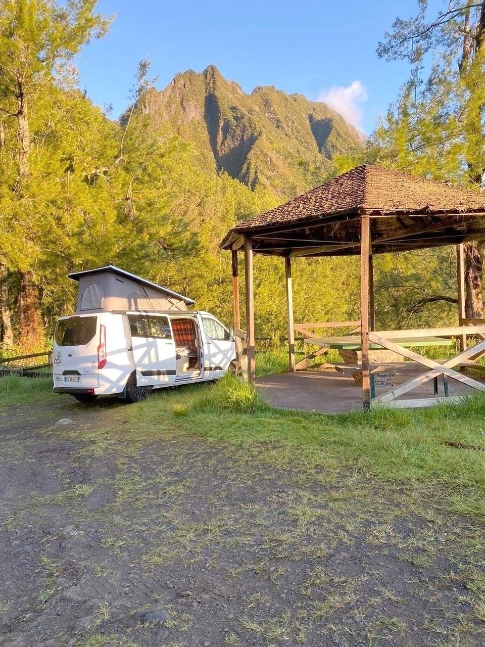 Rapido Ford Transit Custom