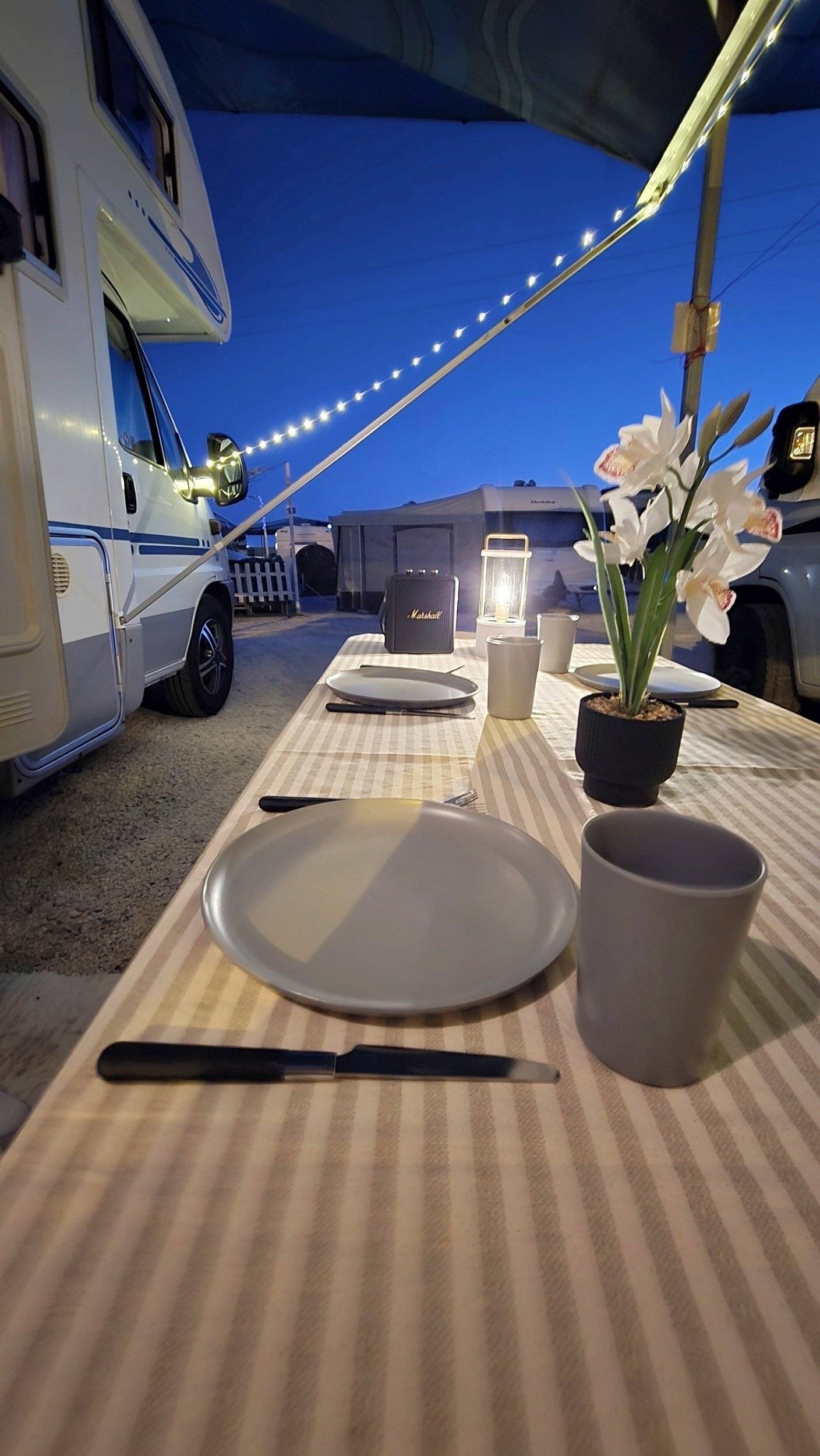 Adria Adriatik 655 sp coral 2.8