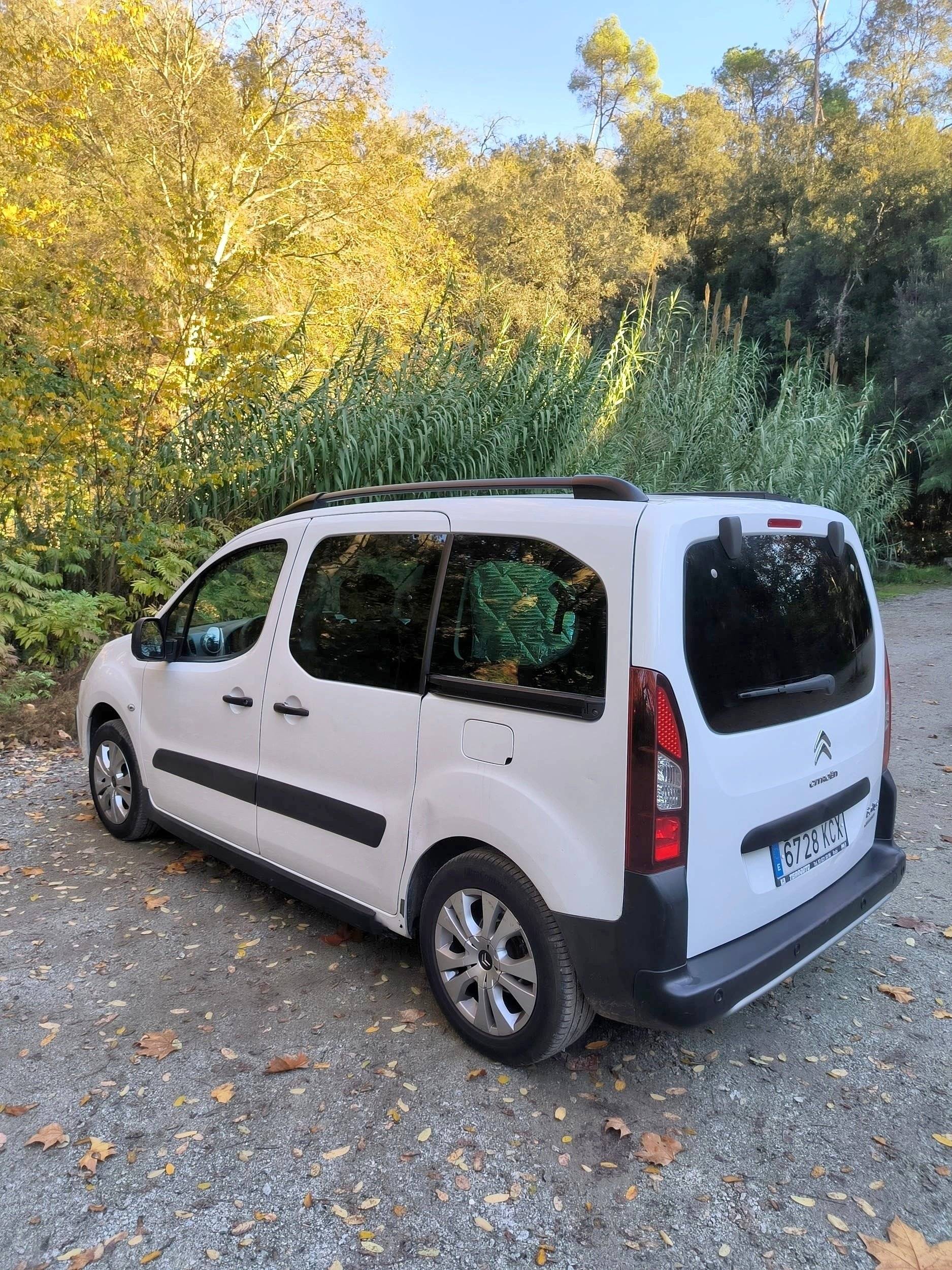 Citroën Berlingo Multispace