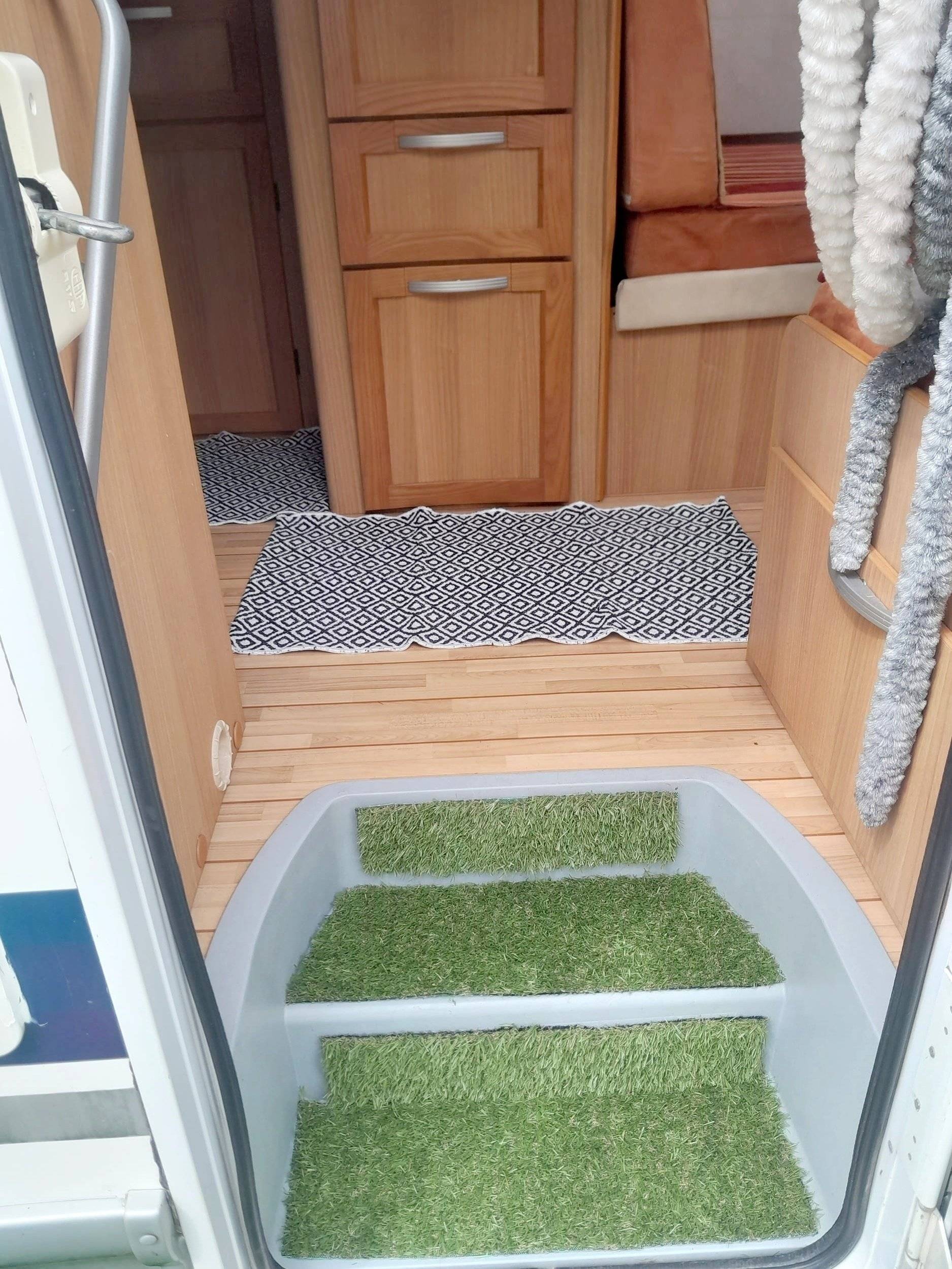 Mclouis McLouis Tandy