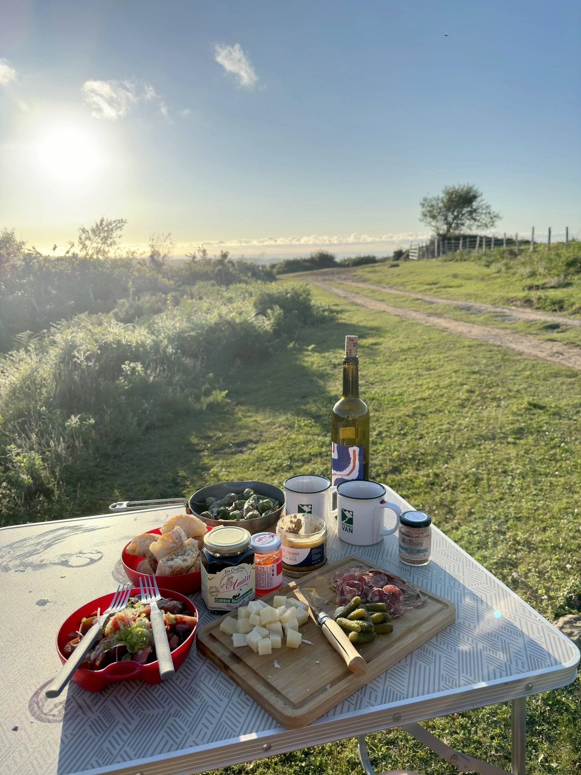 Van Mania Van Mania North East