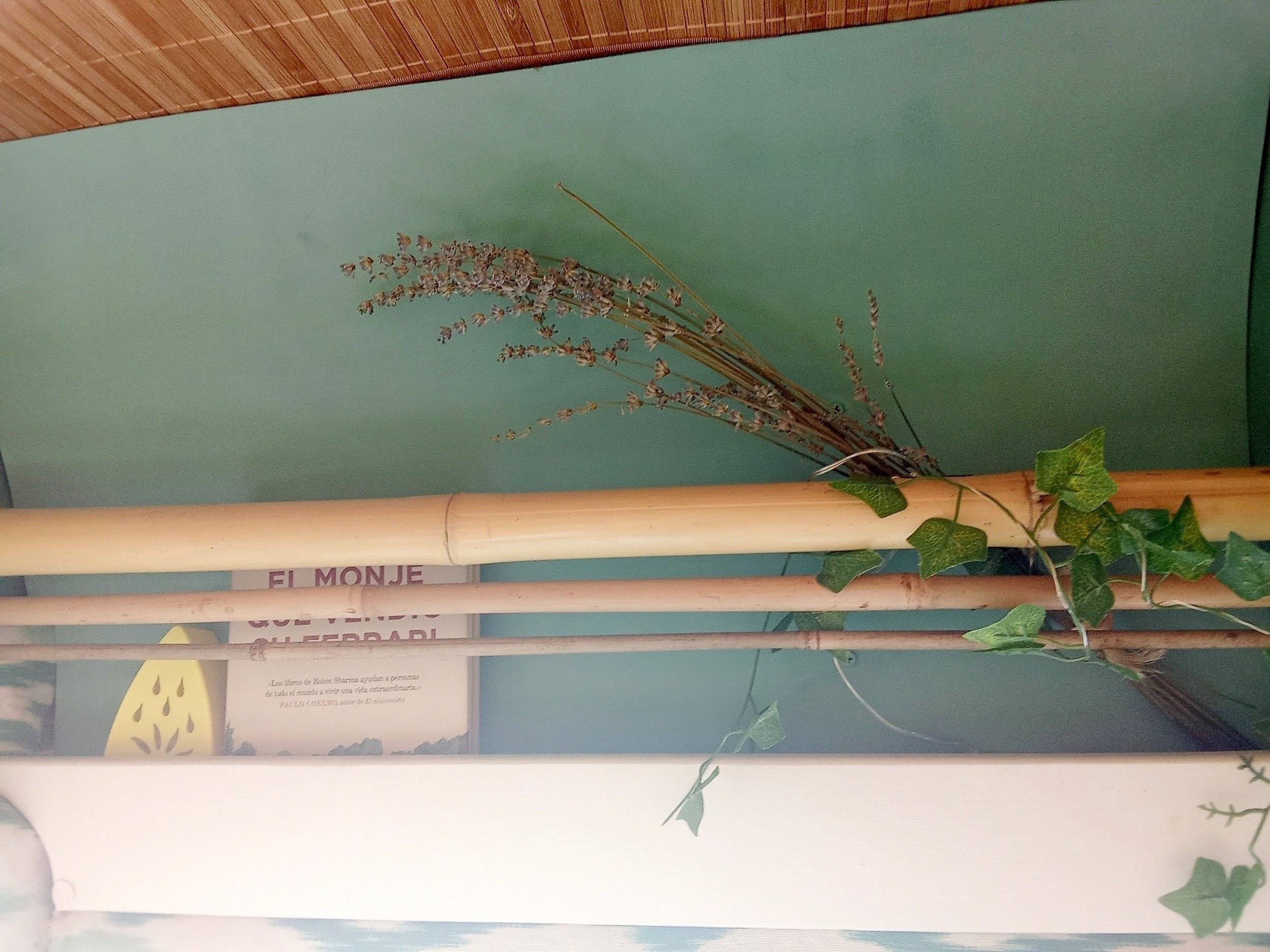 Renault opel vivaro L2H1