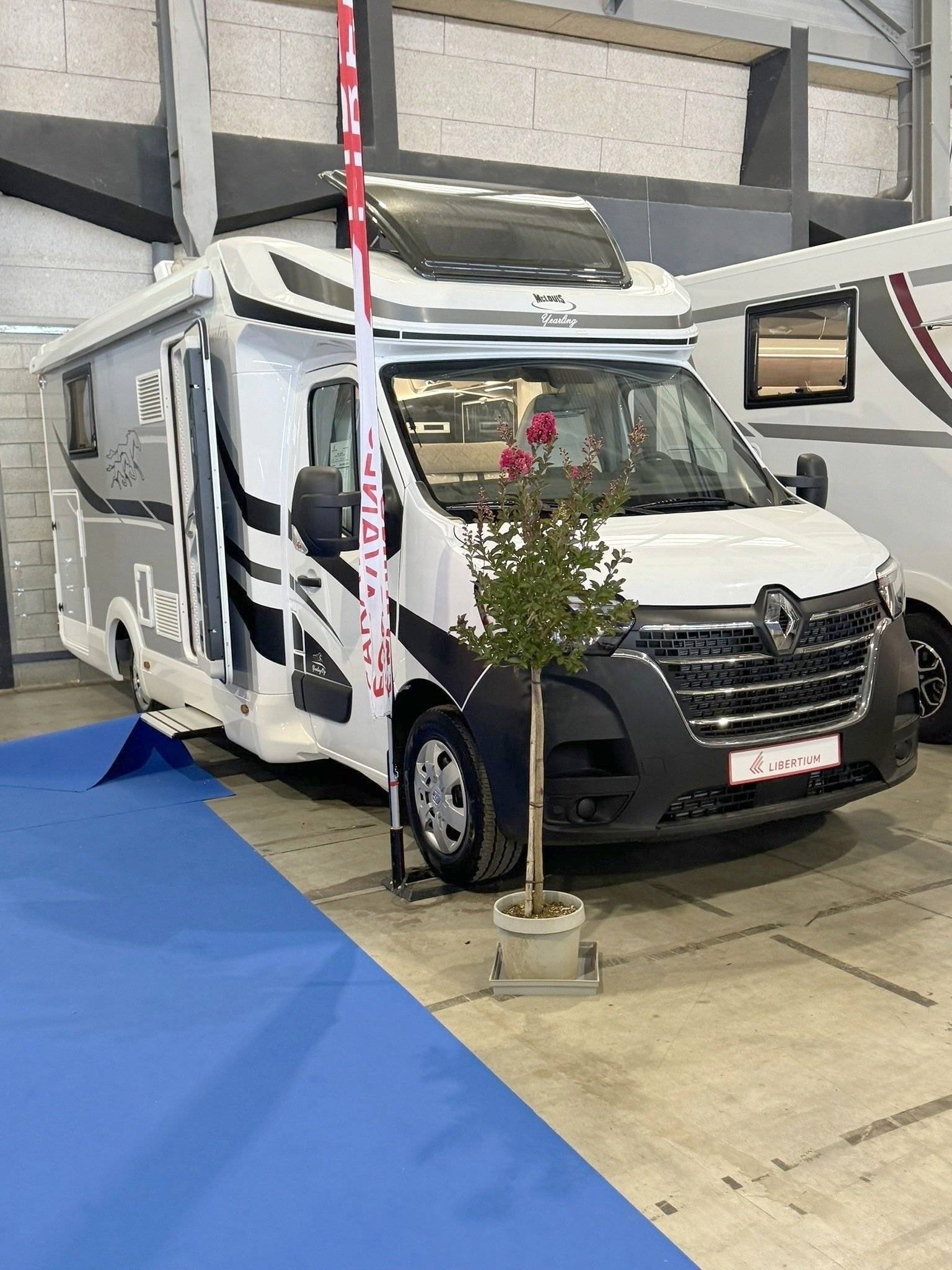 Mclouis Yearling 89G