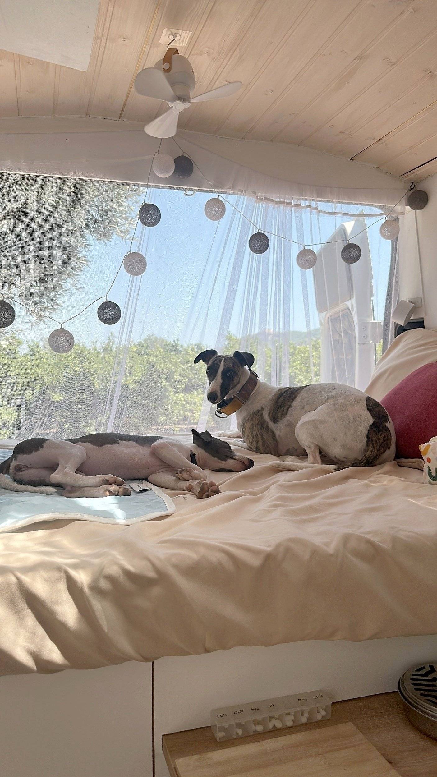 Citroën Jumper 2,2 l 110 ch