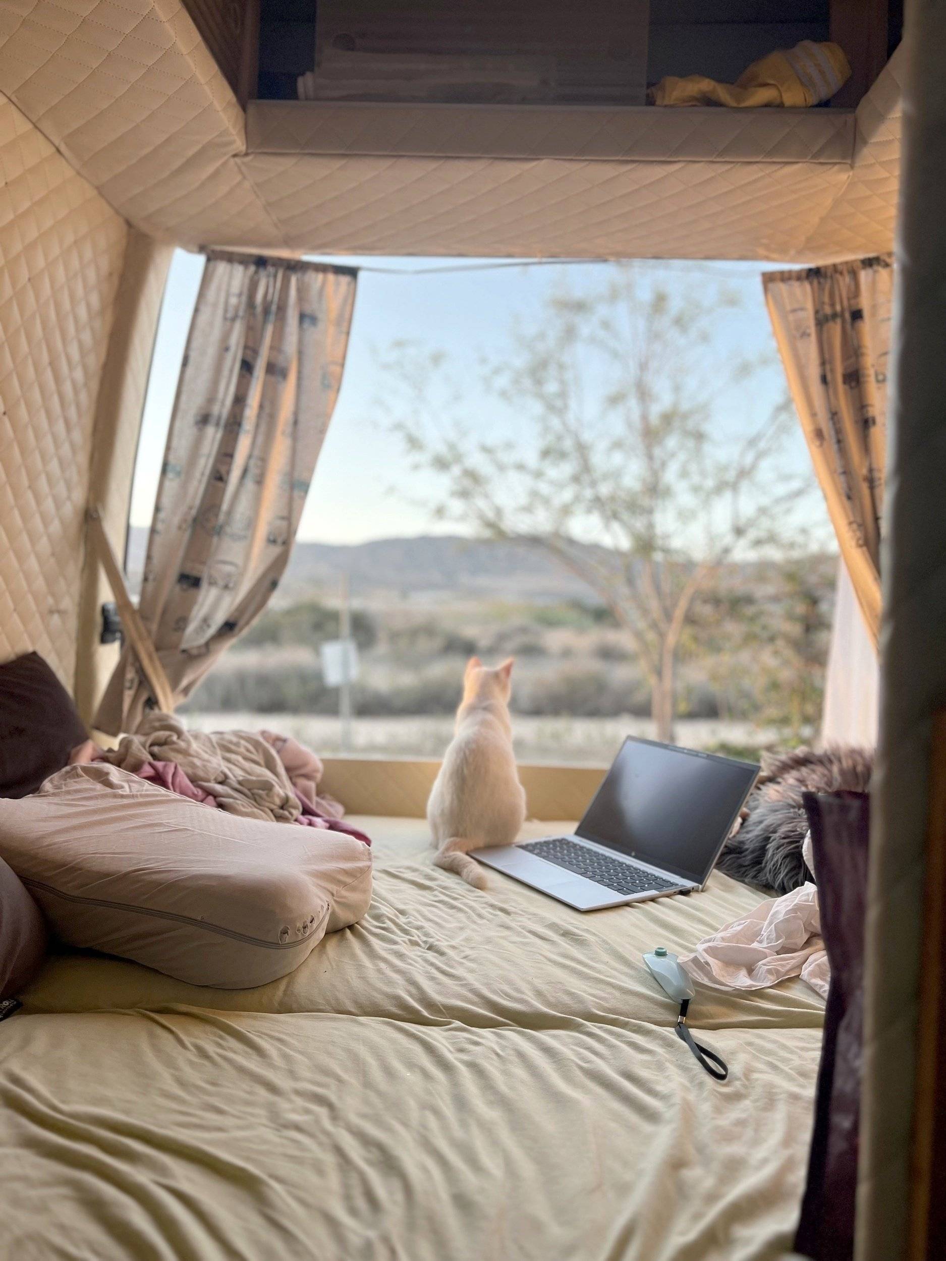 Renault Master 2,5 l dCi 120