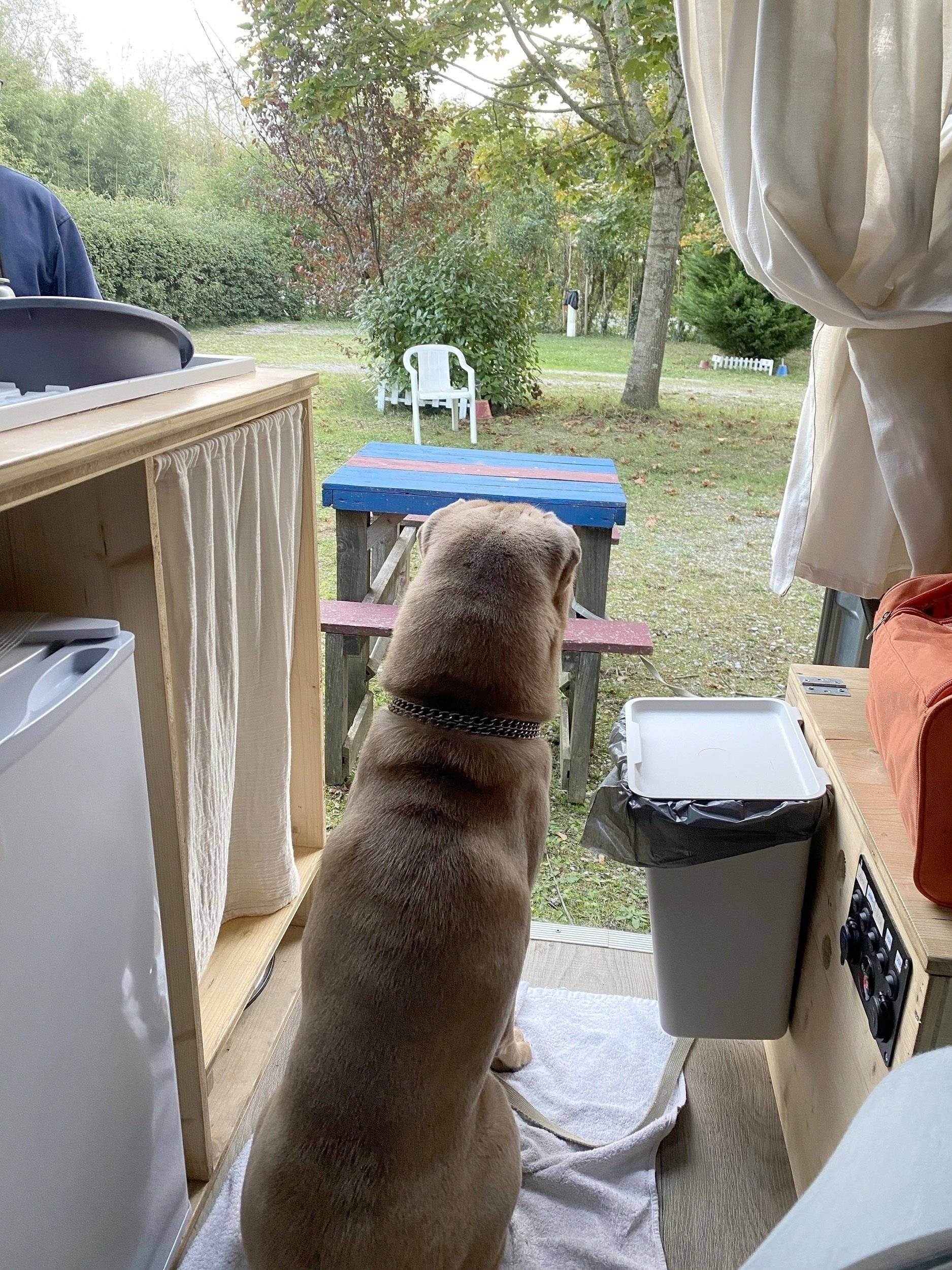 review photo thumbnail