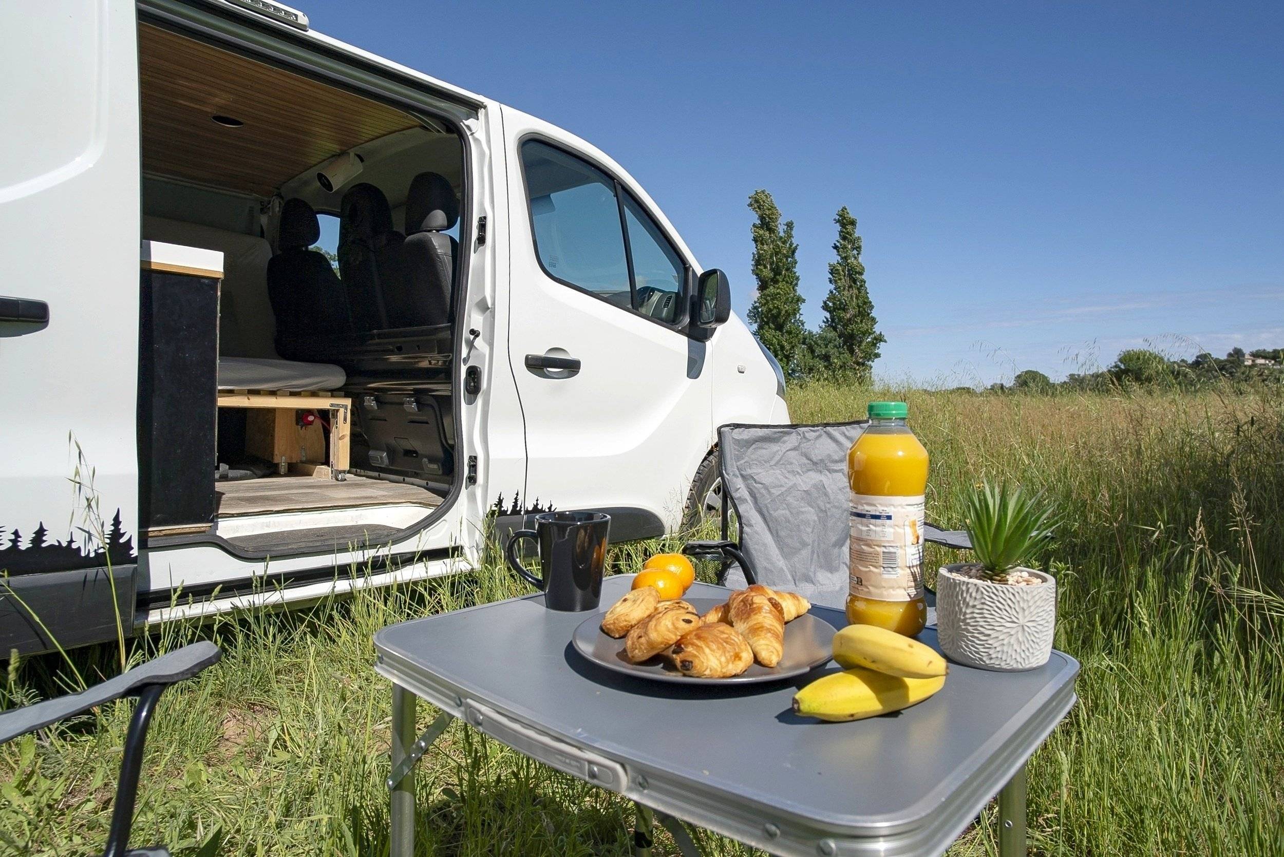 BJH RENAULT TRAFIC III 120 cv