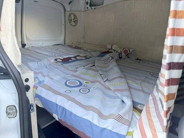 Van Mania van