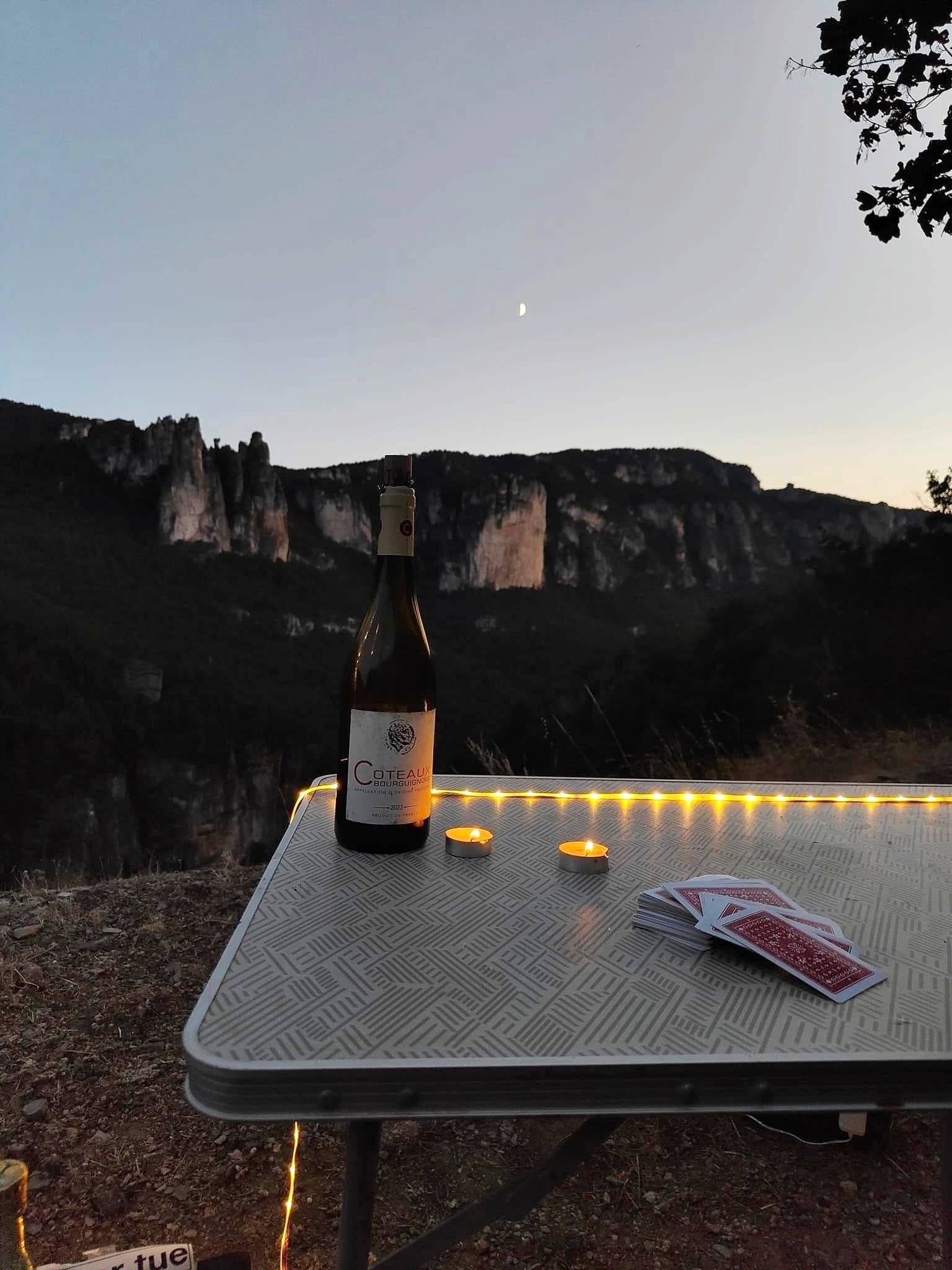 Renault TRAFFIC 2,0l 90 CH