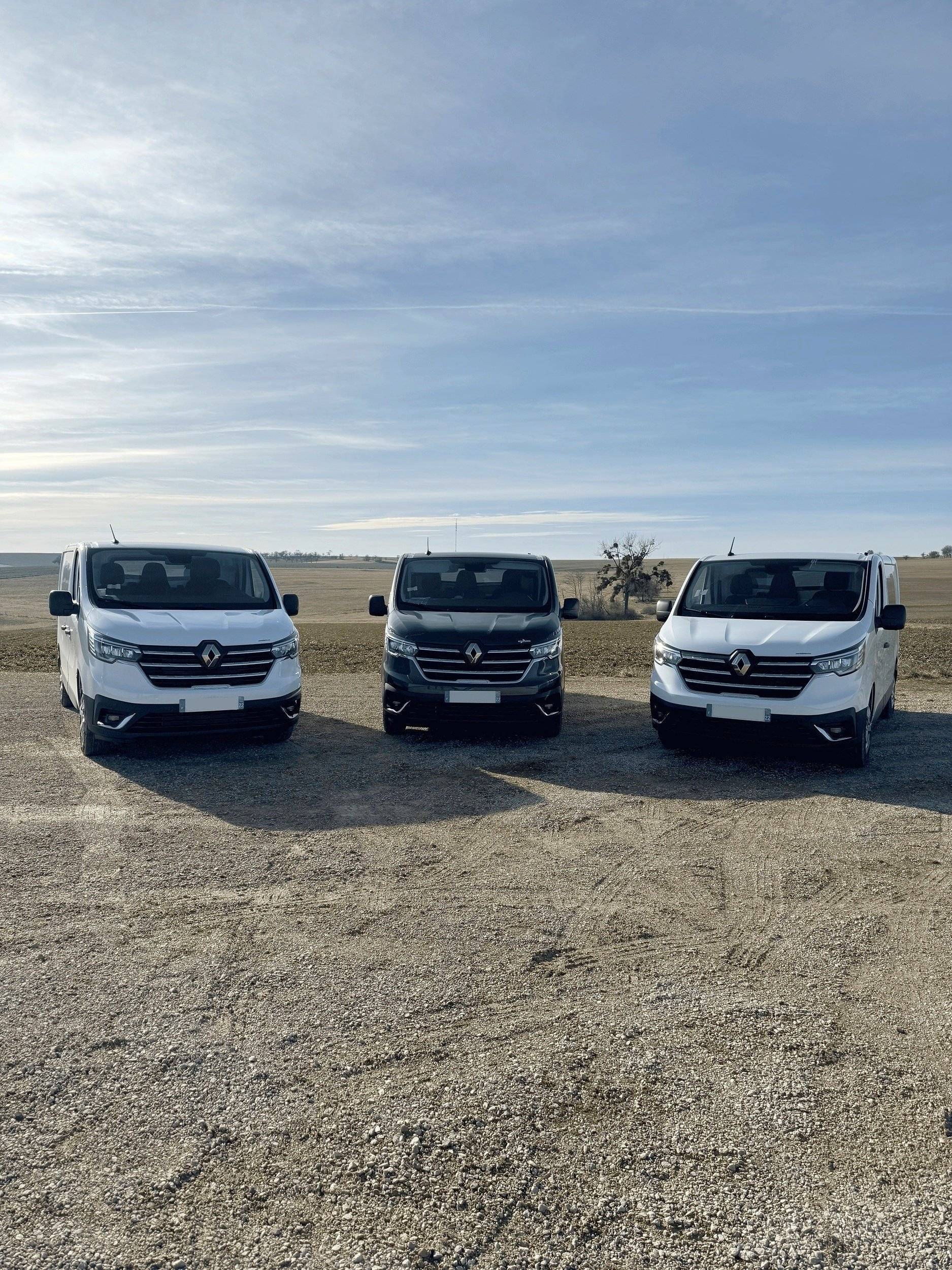 Antilope Van Renault Trafic