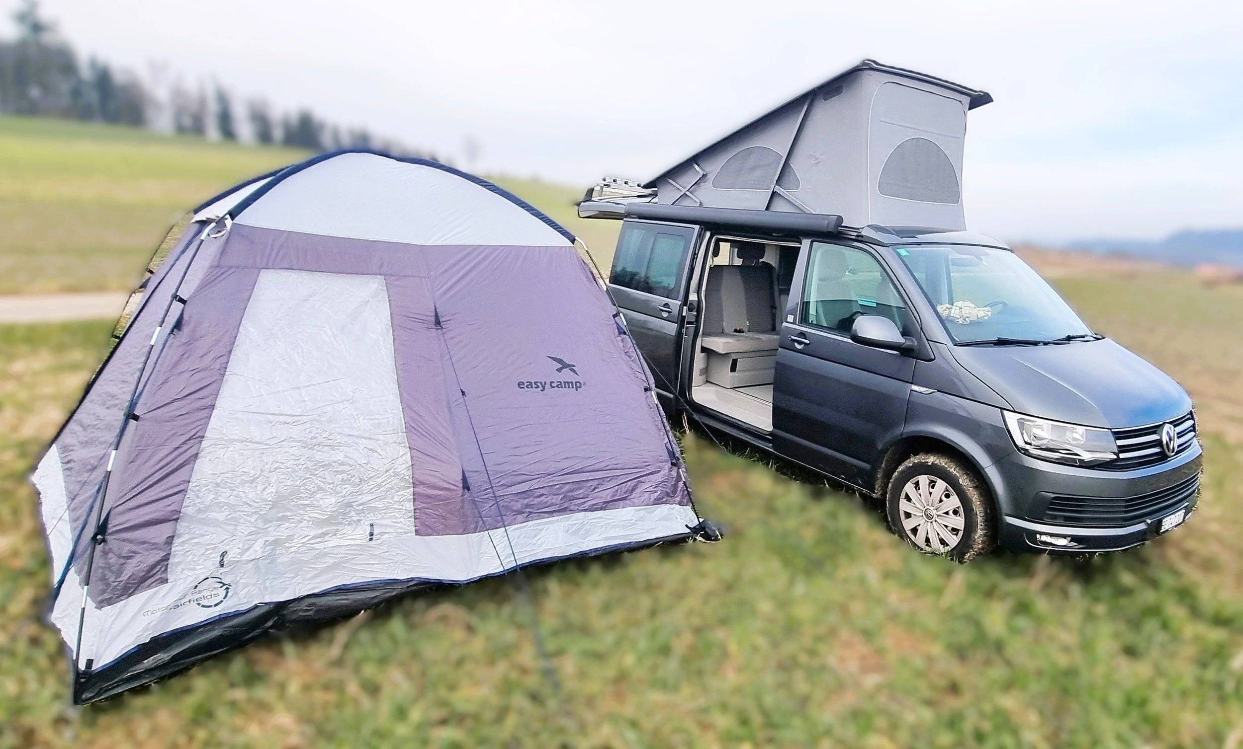 California California Ocean