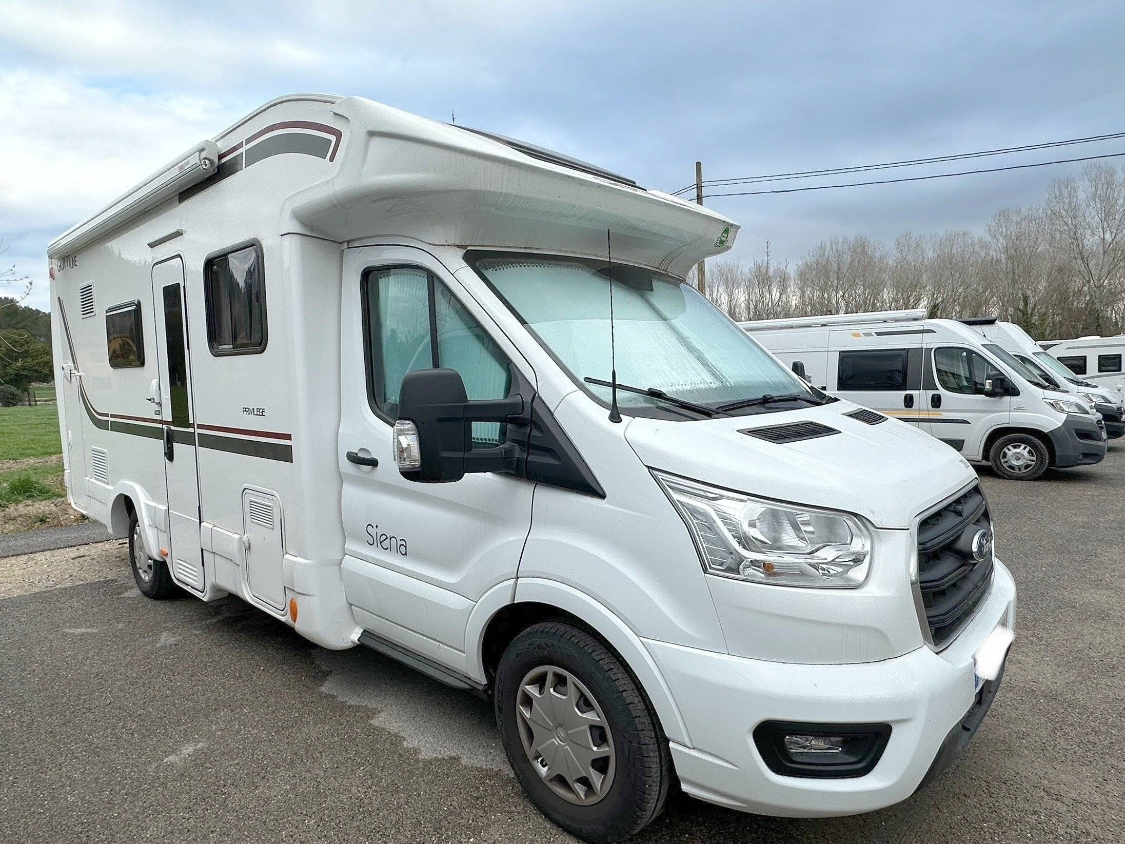 Giottiline siena 386