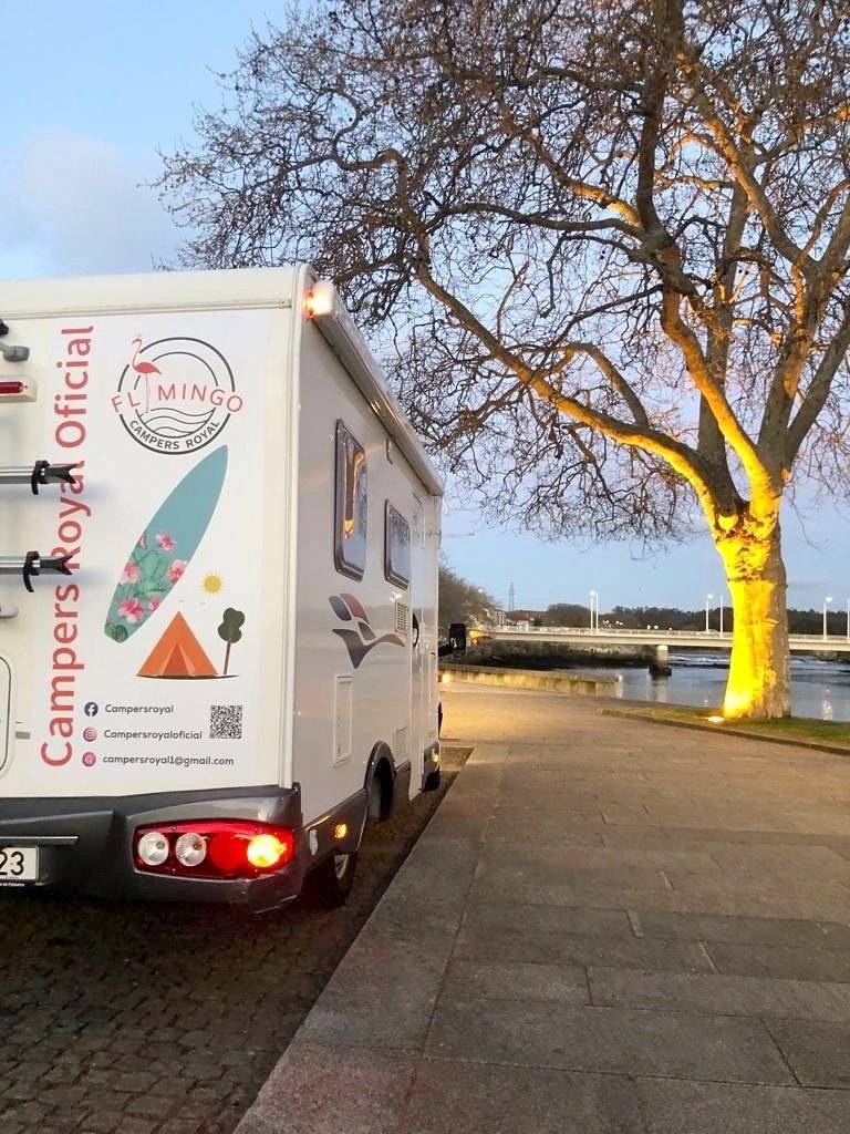 Challenger Genesis 36