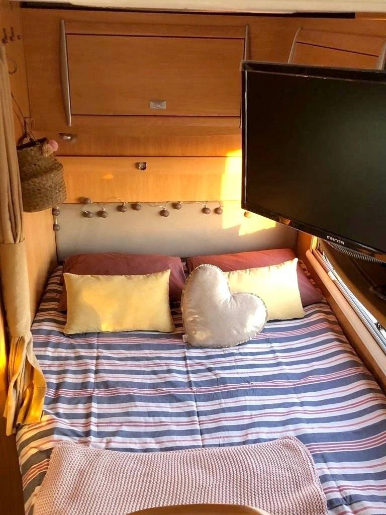 Challenger Genesis 36