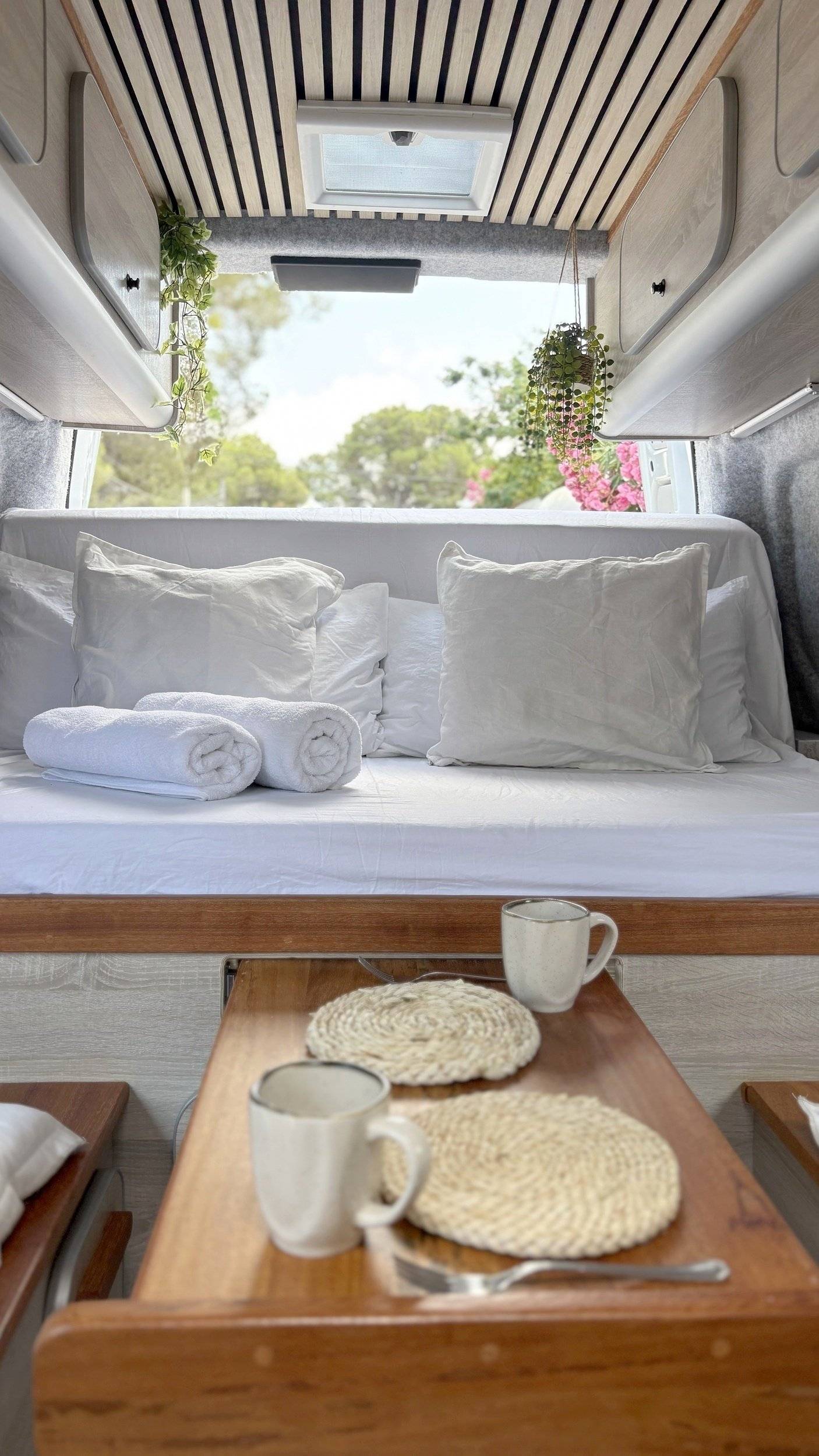 Custo Van Ford Transit