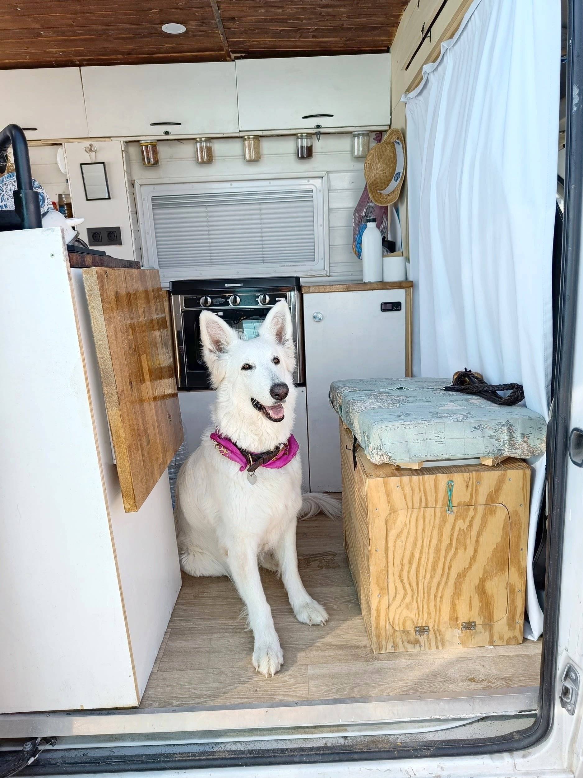 Fiat Ducato 2,3 l Multijet 130 ch.