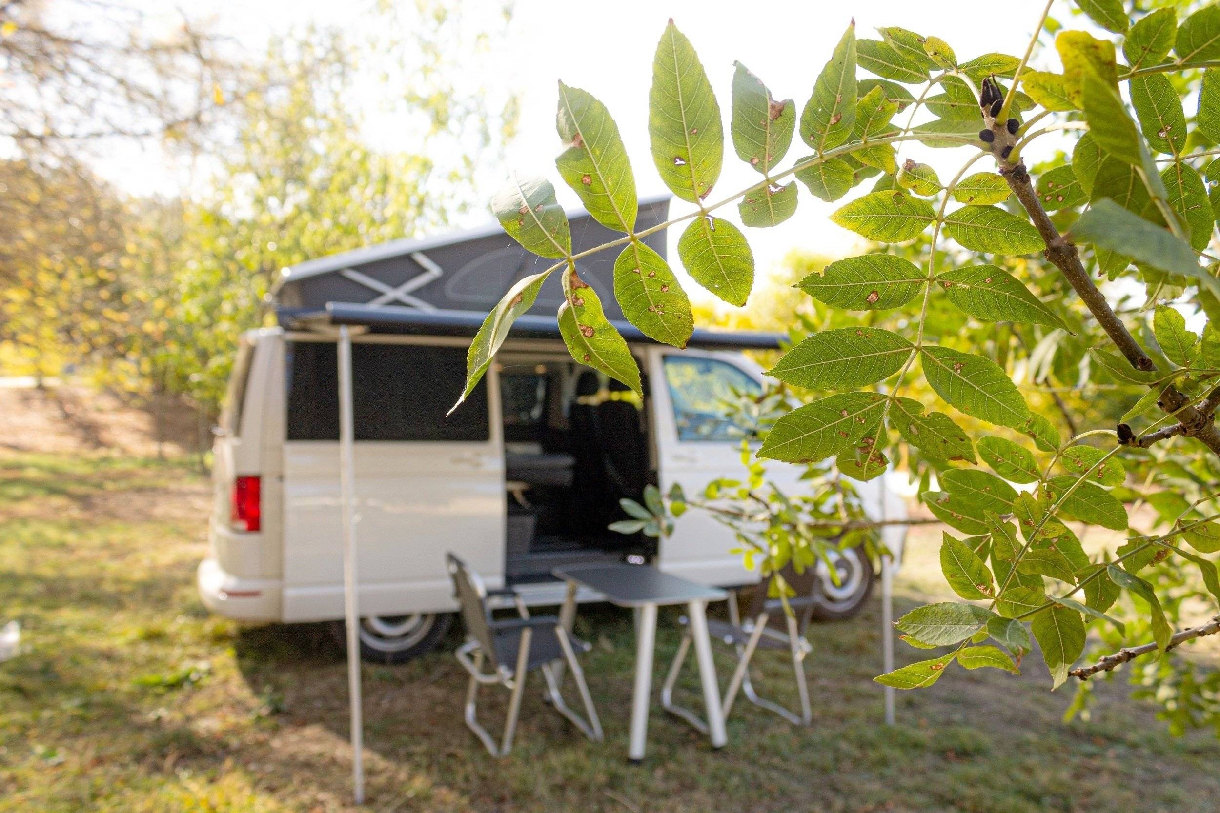 Volkswagen Volkswagen T6