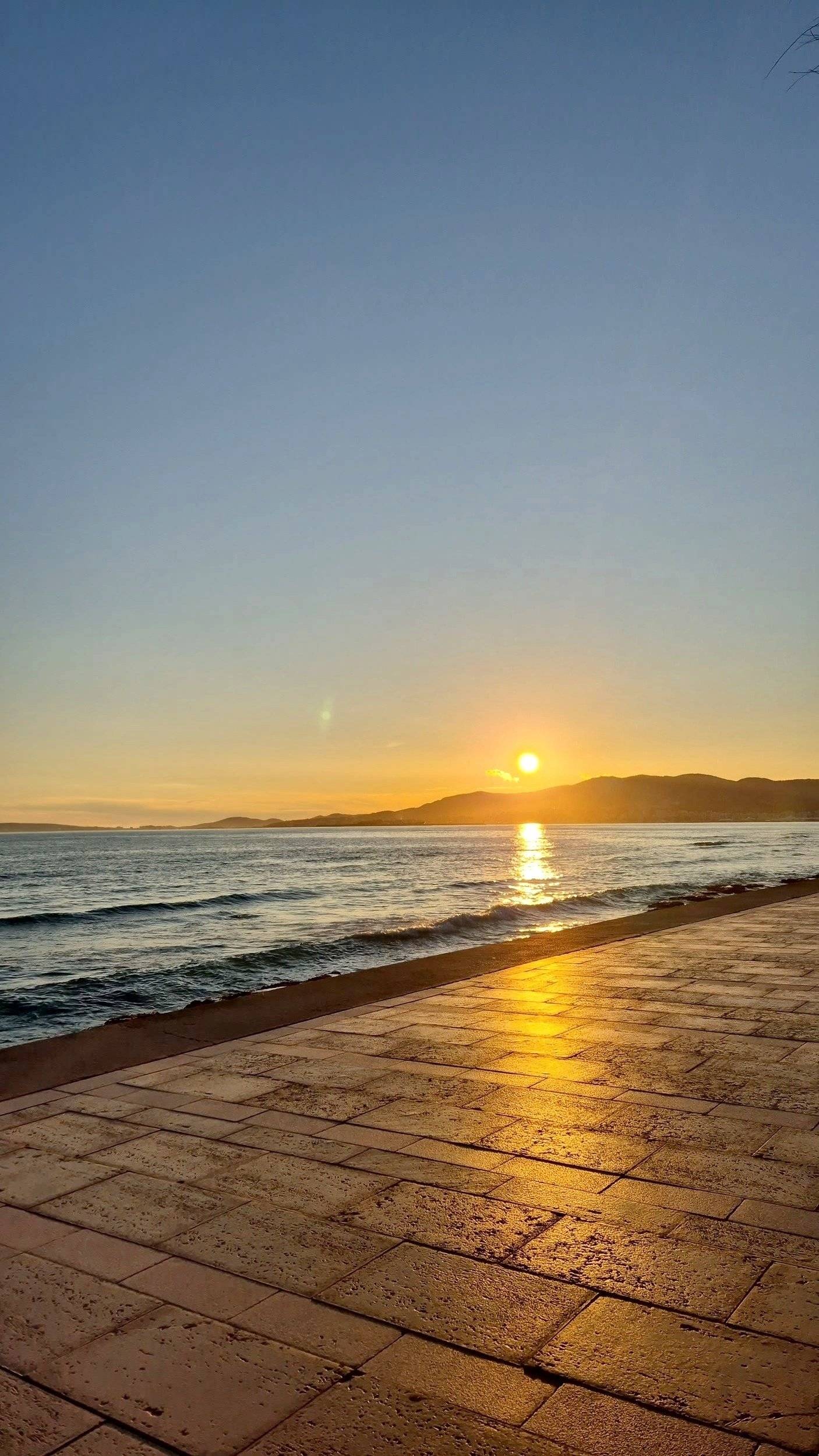 Bavaria Trigano FD1 /FOT3M335KPFD41ZO/Genesis