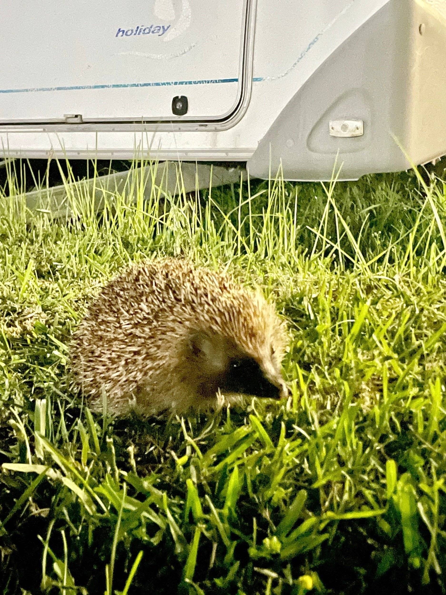 Mercedes Vito 110d mixto