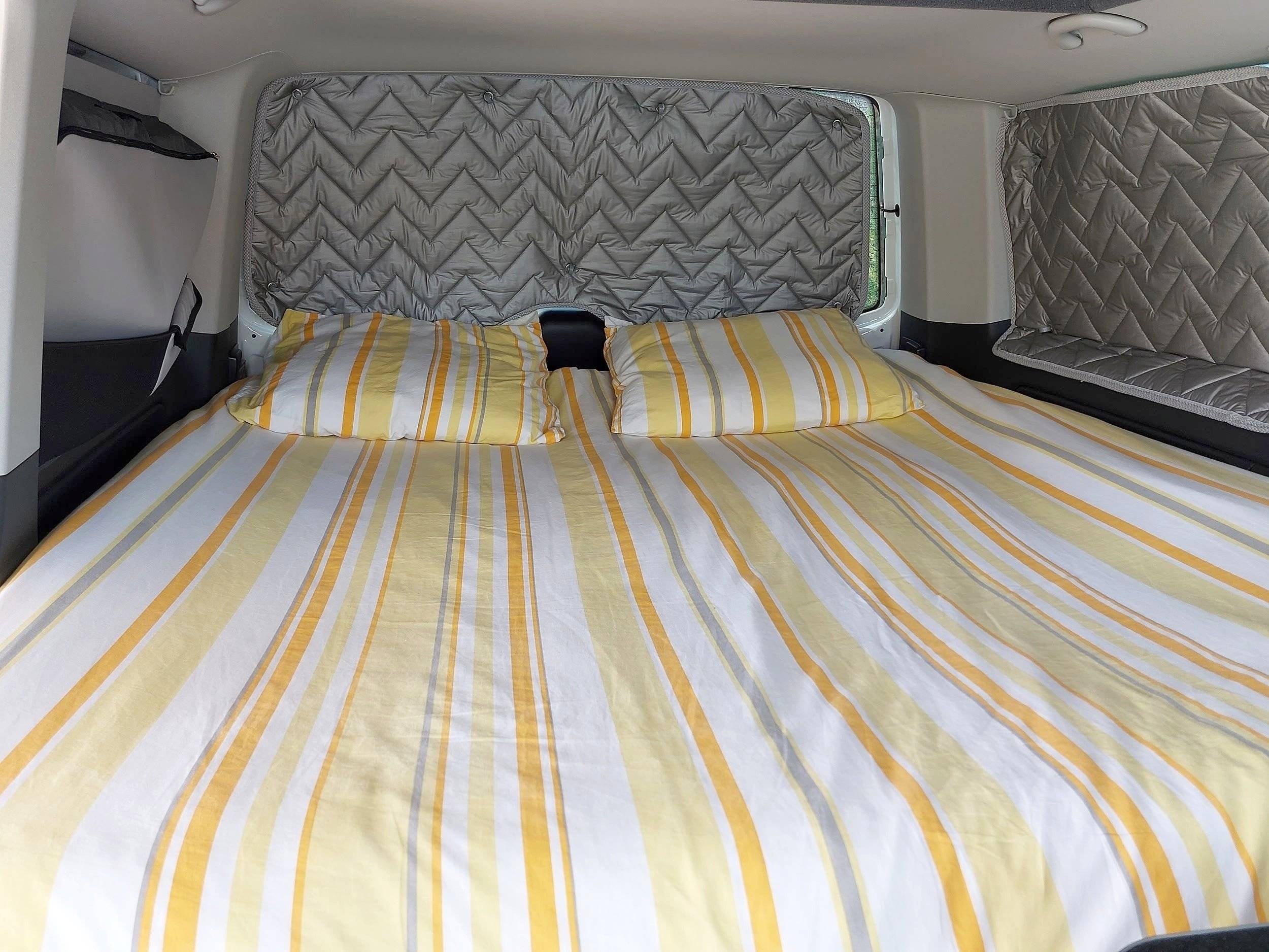 Volkswagen Multivan T5