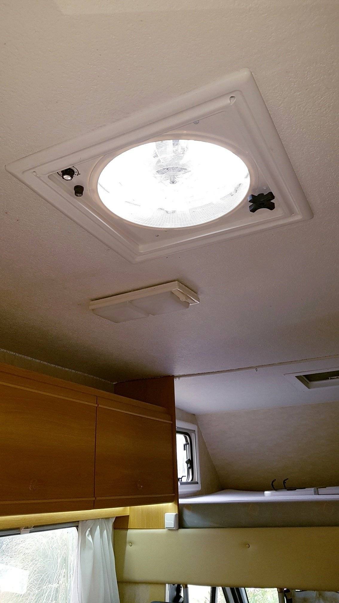 Roller Team Roller team