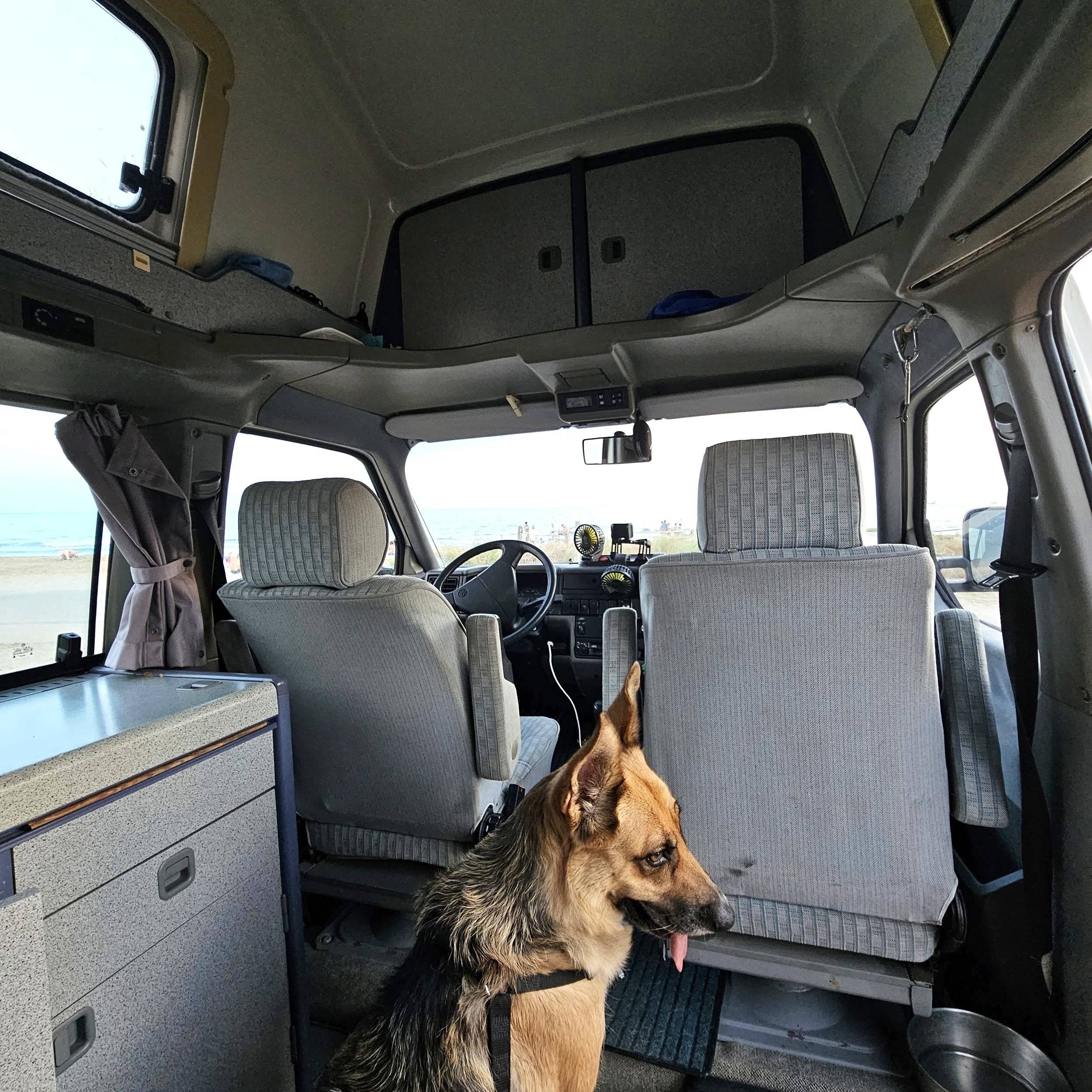 Westfalia California Coach