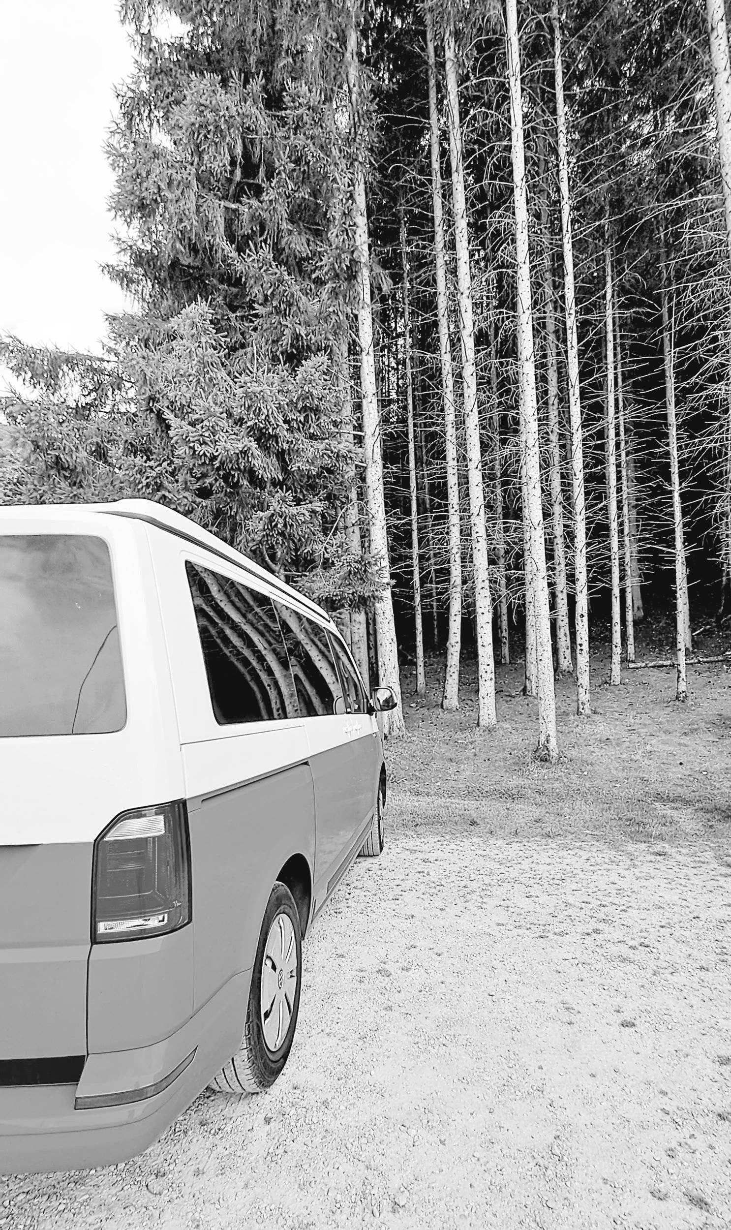 Volkswagen Volkswagen T6