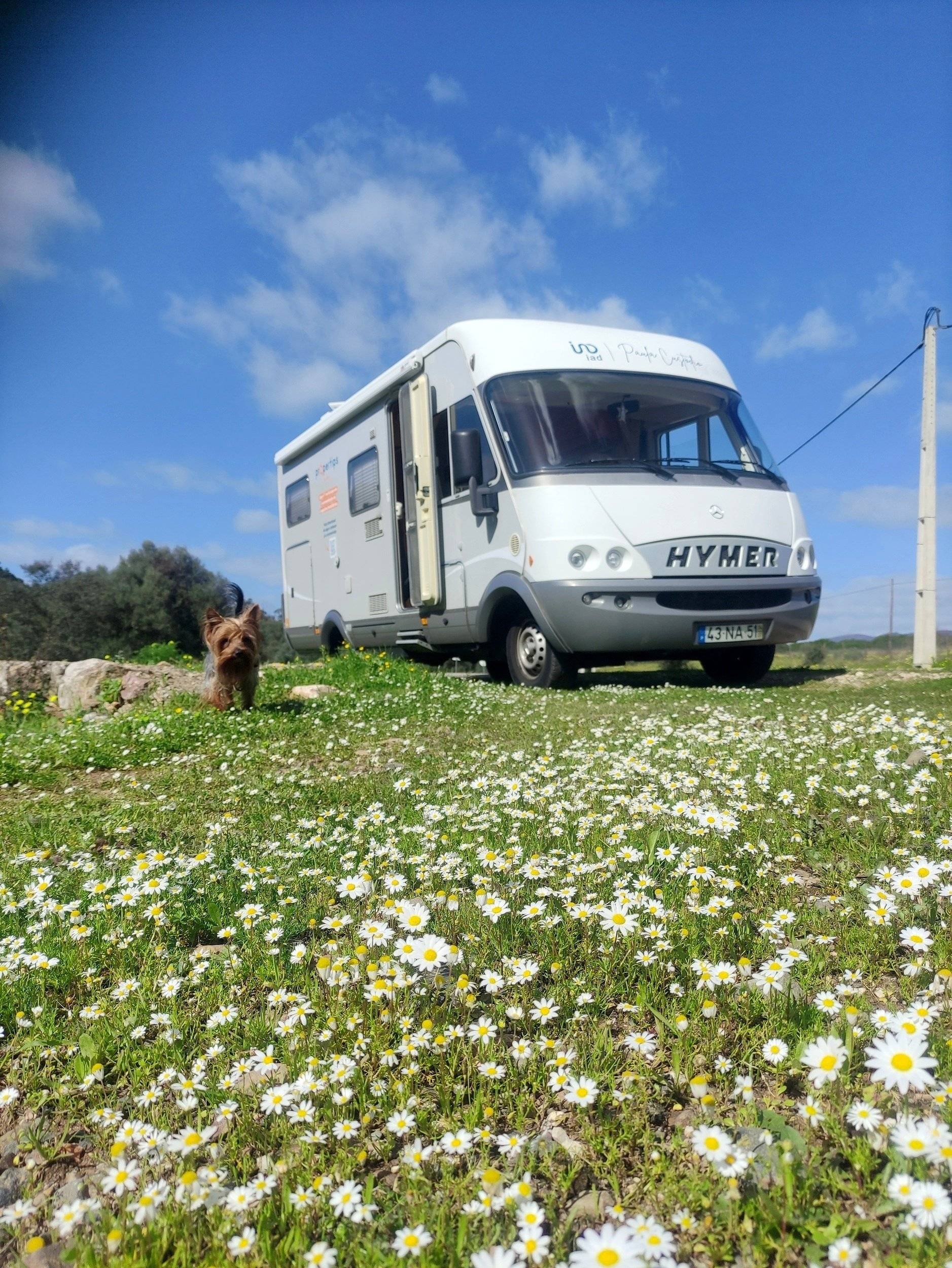 Hymer 630