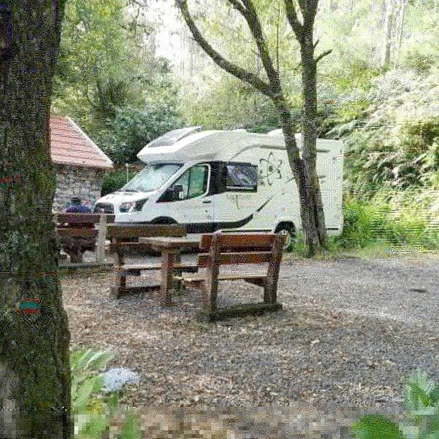 Benimar Benimar Tessoro 440