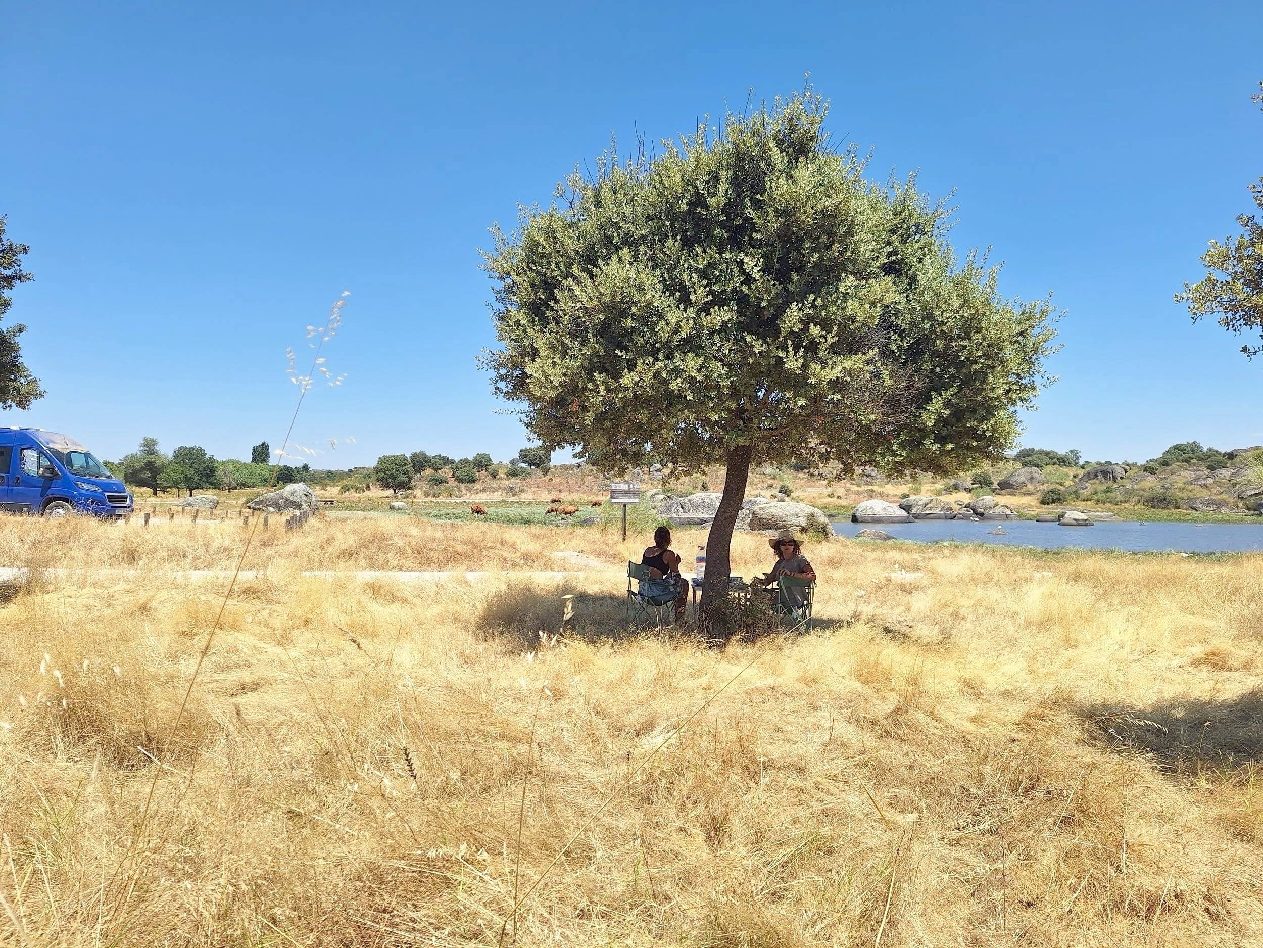 review photo thumbnail
