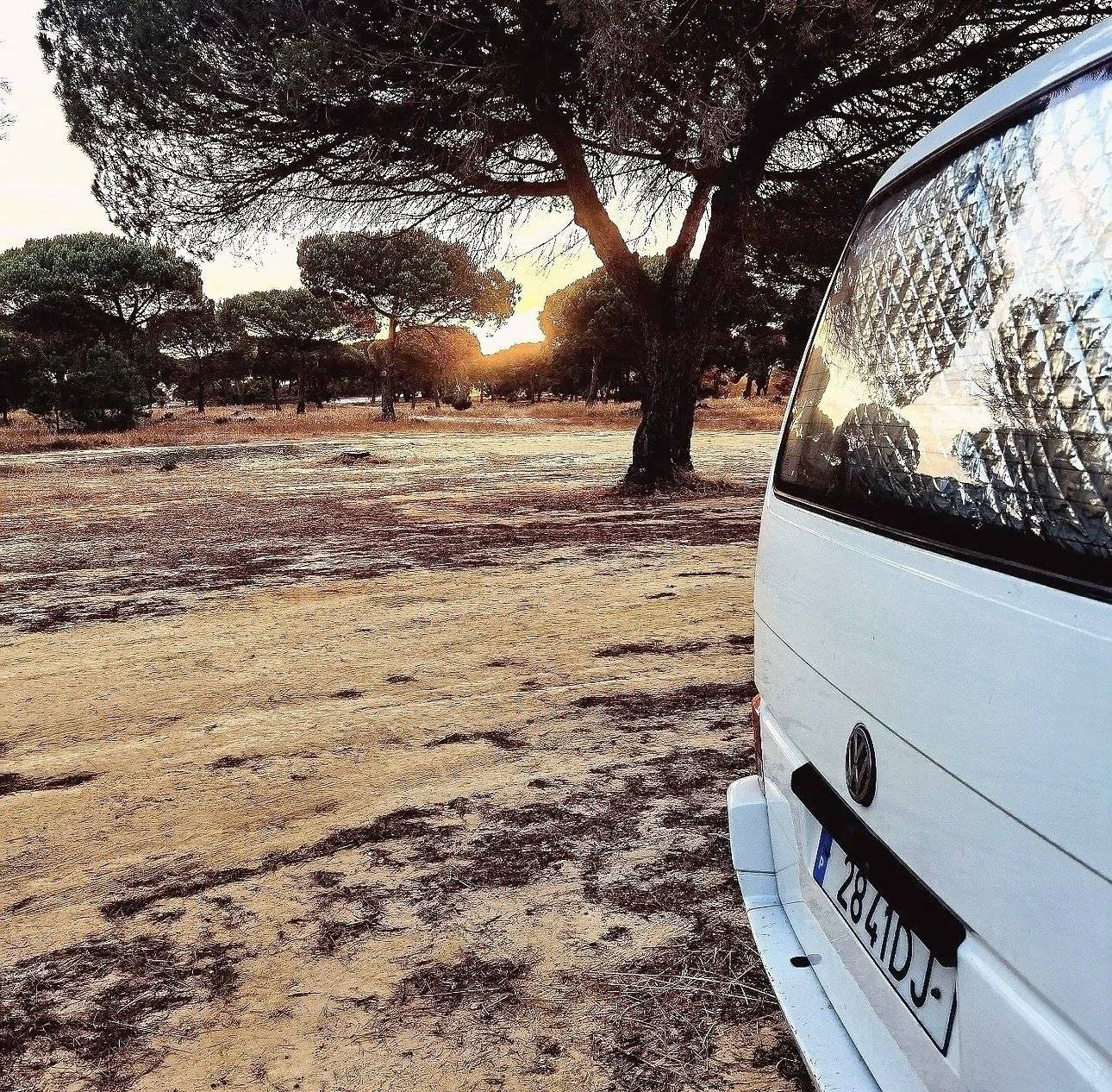 Volkswagen Trasporter