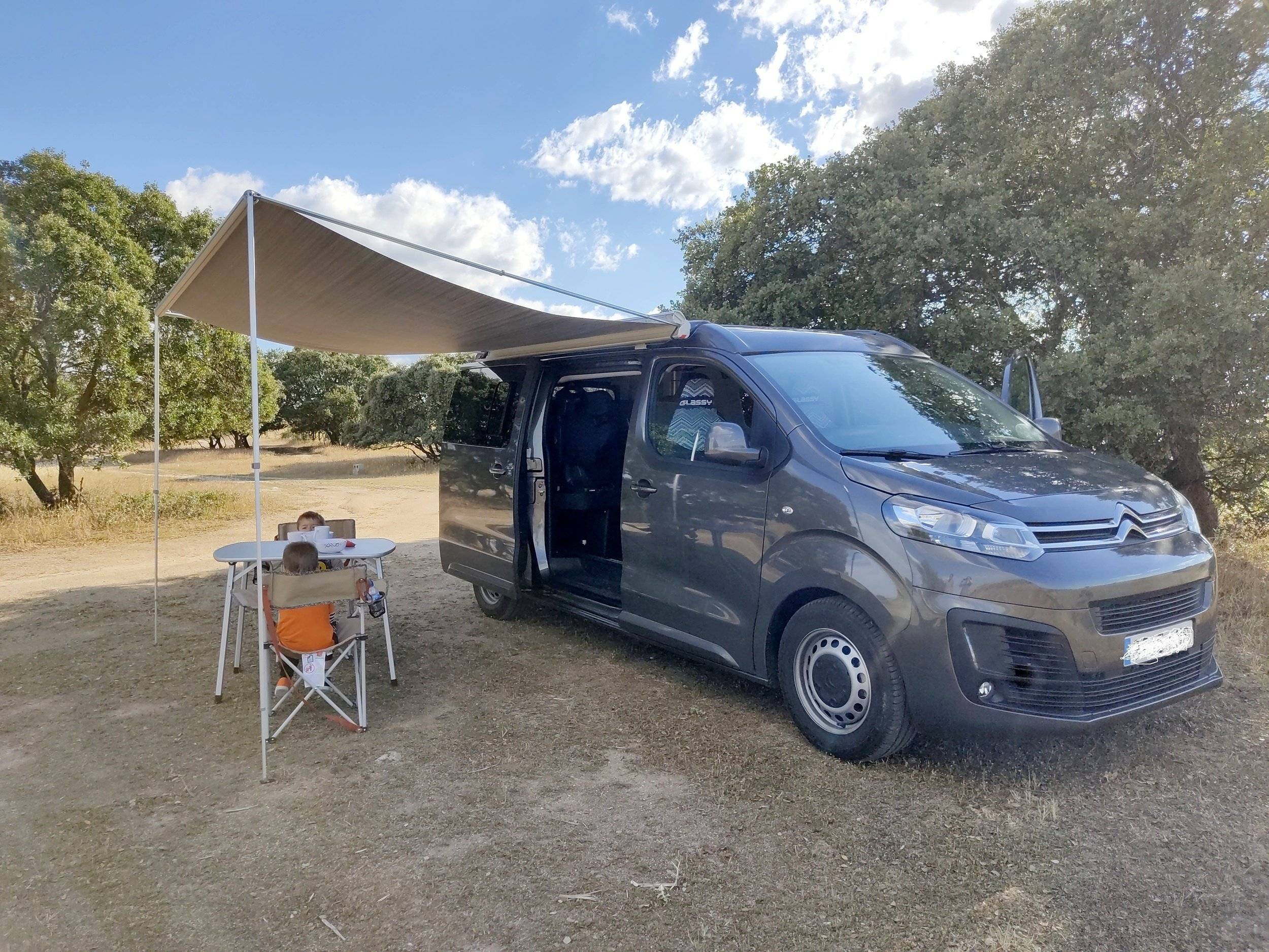 CITROEN PACIFIC/BRAHM TECNOLOGIES