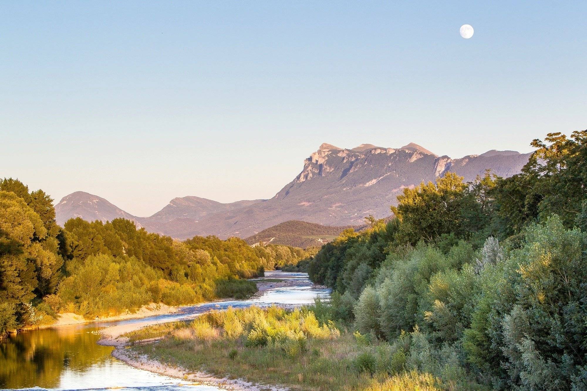 ridervan Volkswagen Transporter T6