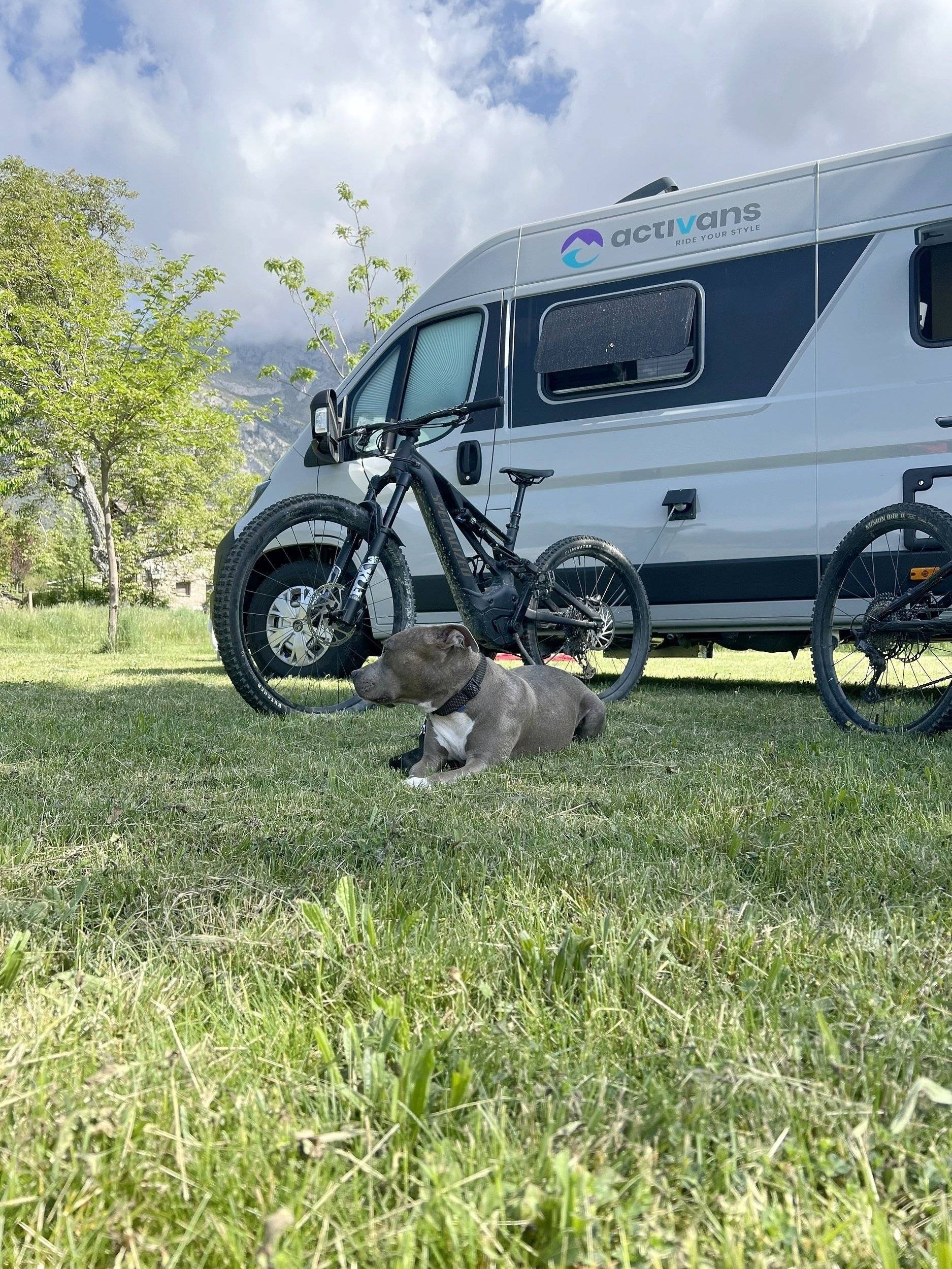 Adria Twin 640 GX automatic