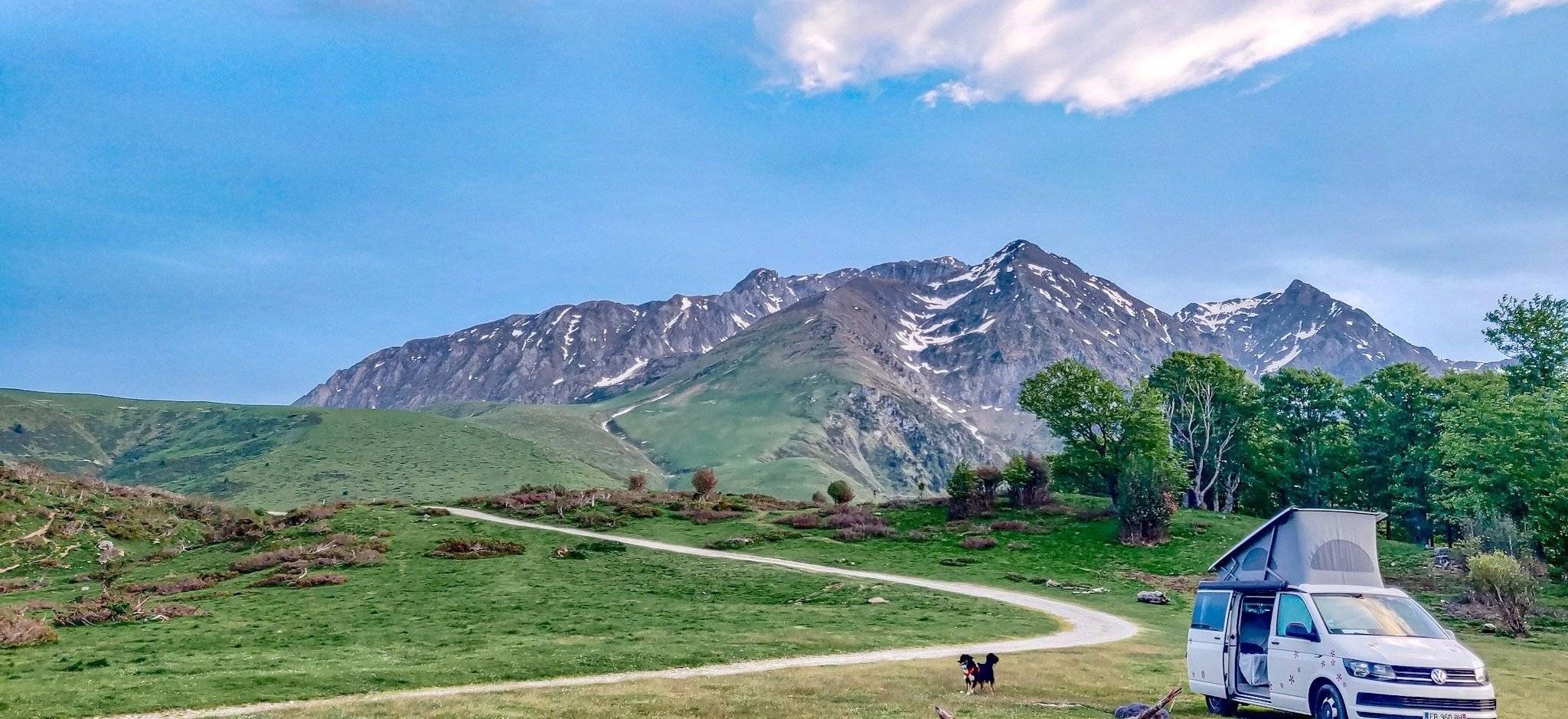 Volkswagen CALIFORNIA T6 2 l TDI 150 ch