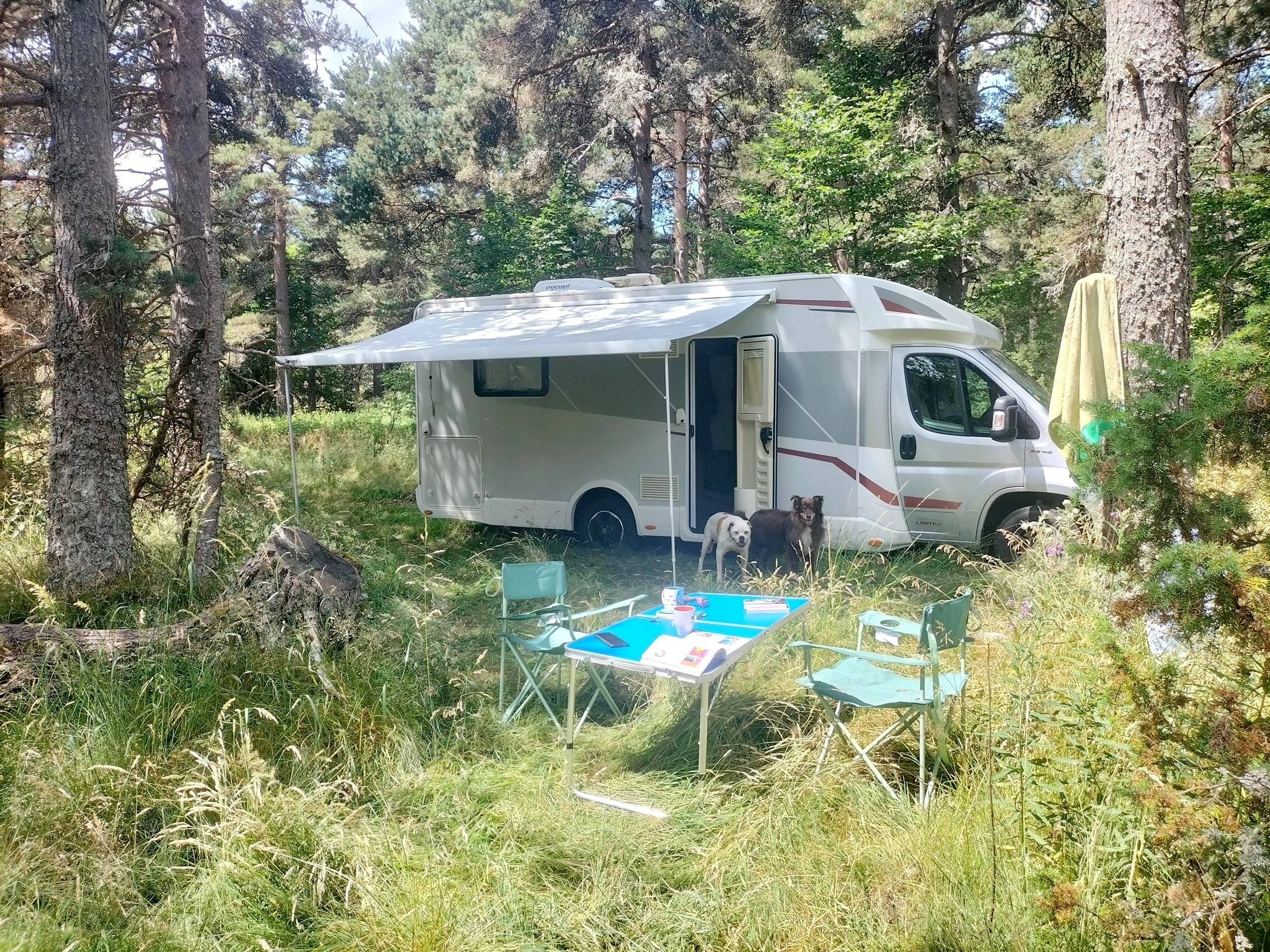 Rimor 66 Plus serie limited