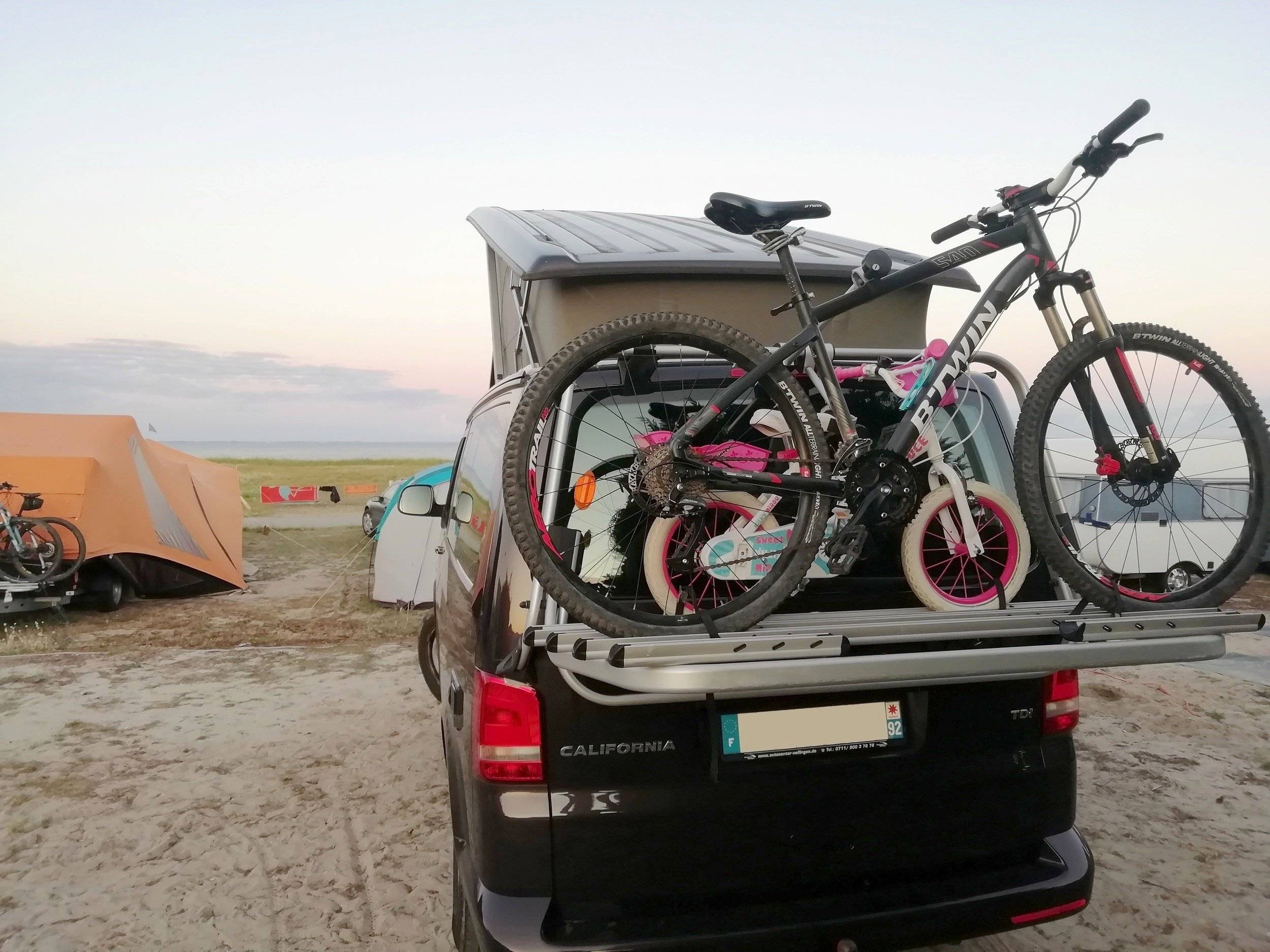 CALIFORNIA california