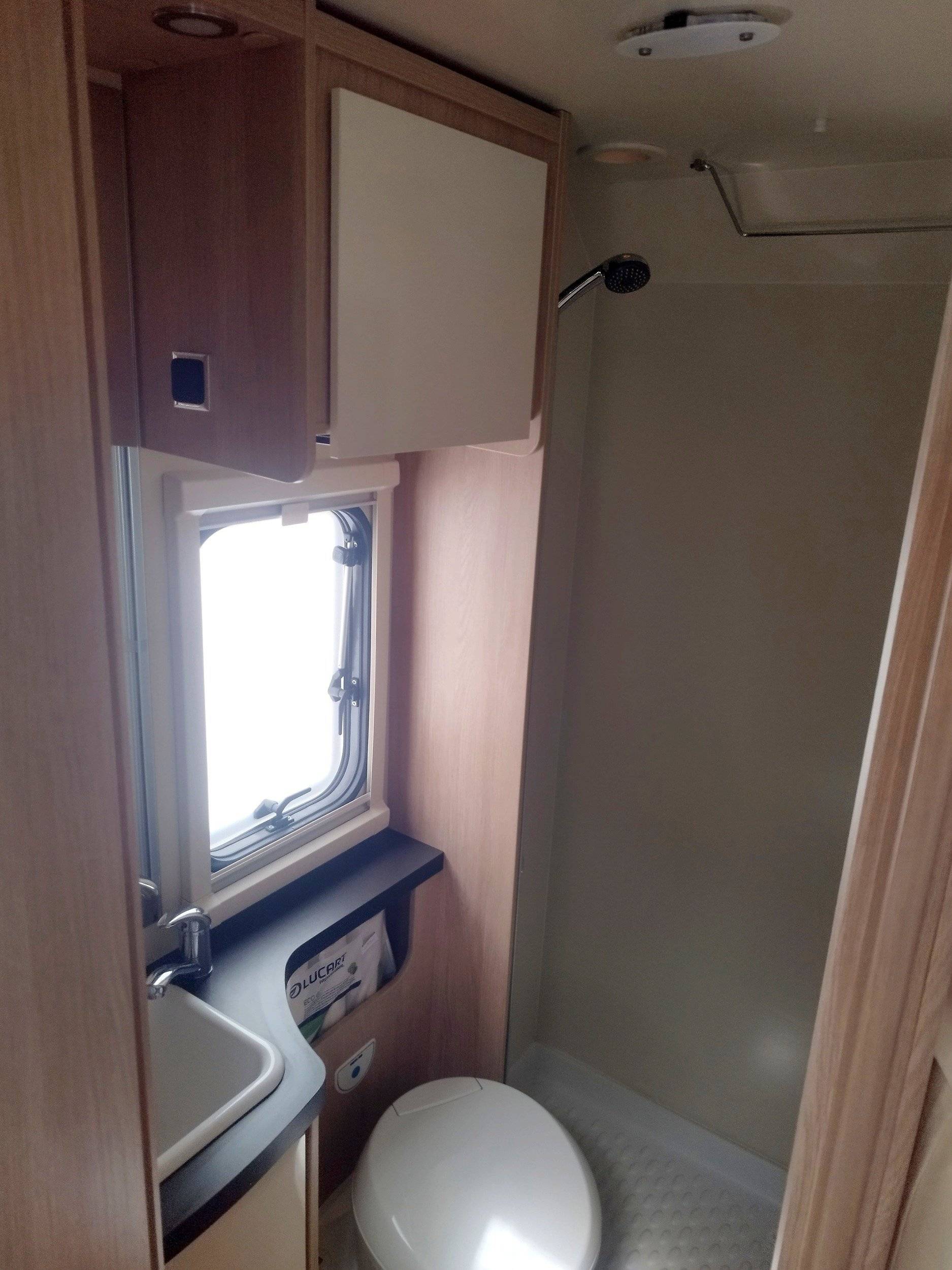 Giottiline  Siena 330