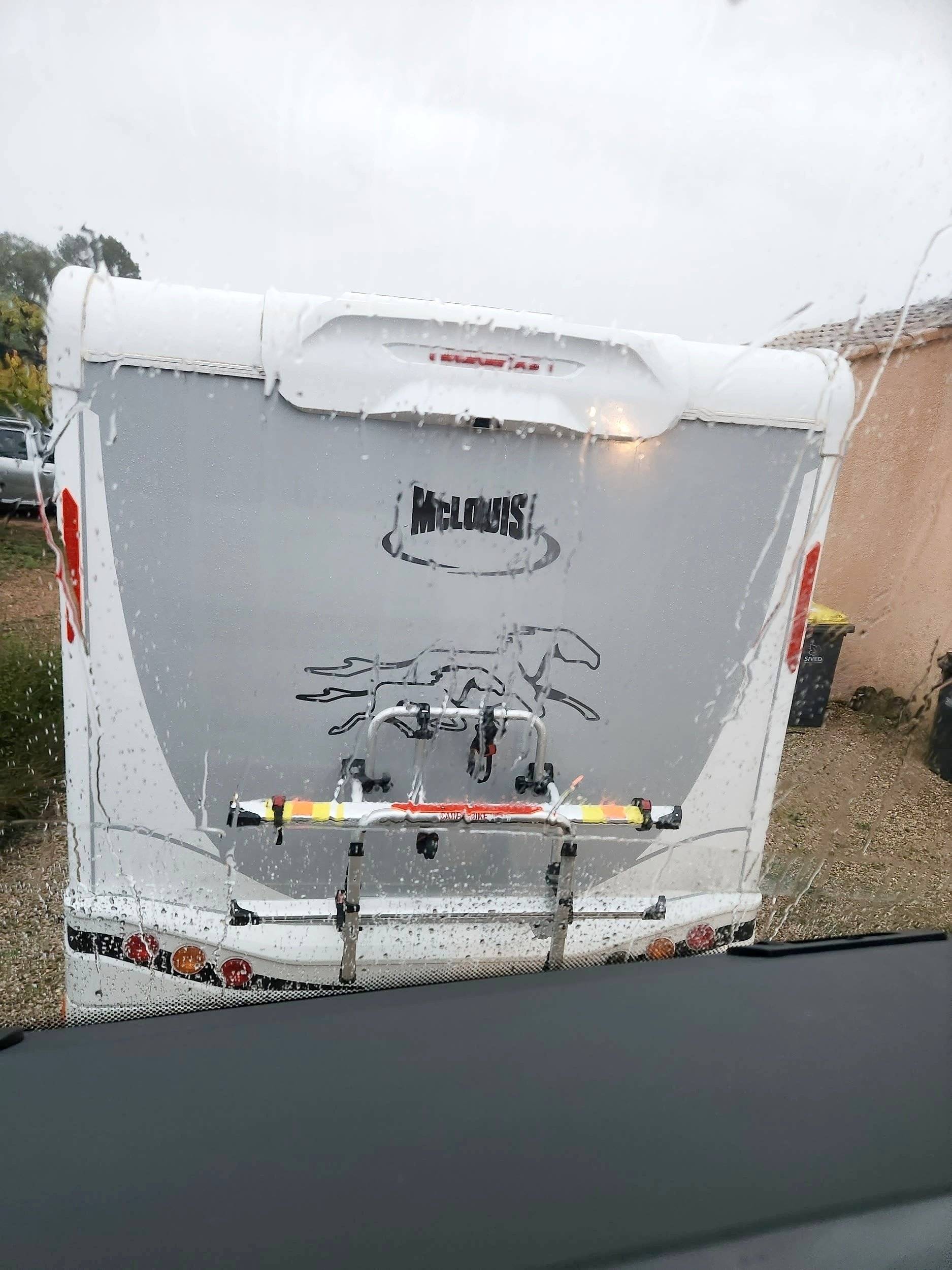 Mclouis yearling 89 G