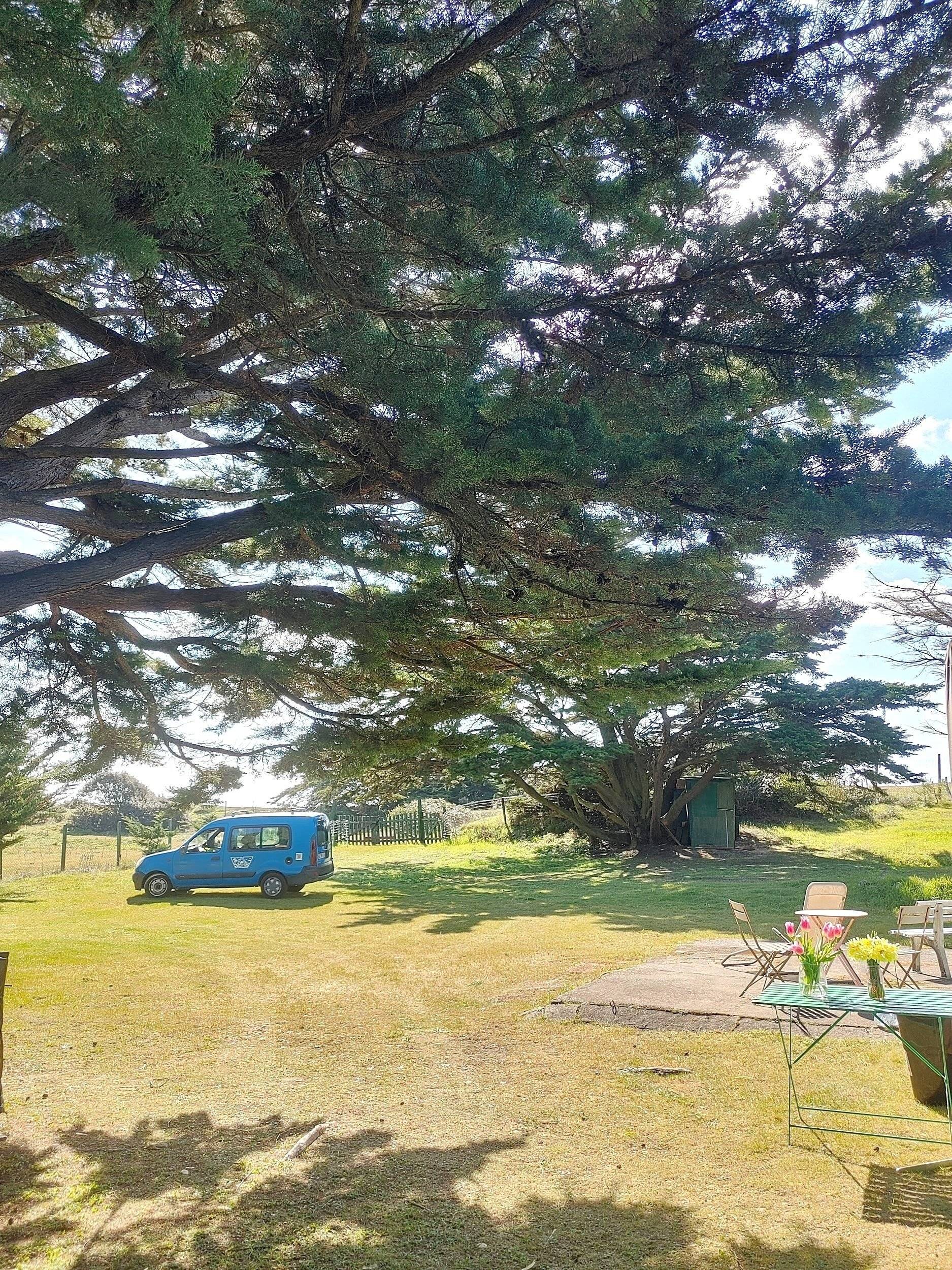 Renault Kangoo Express