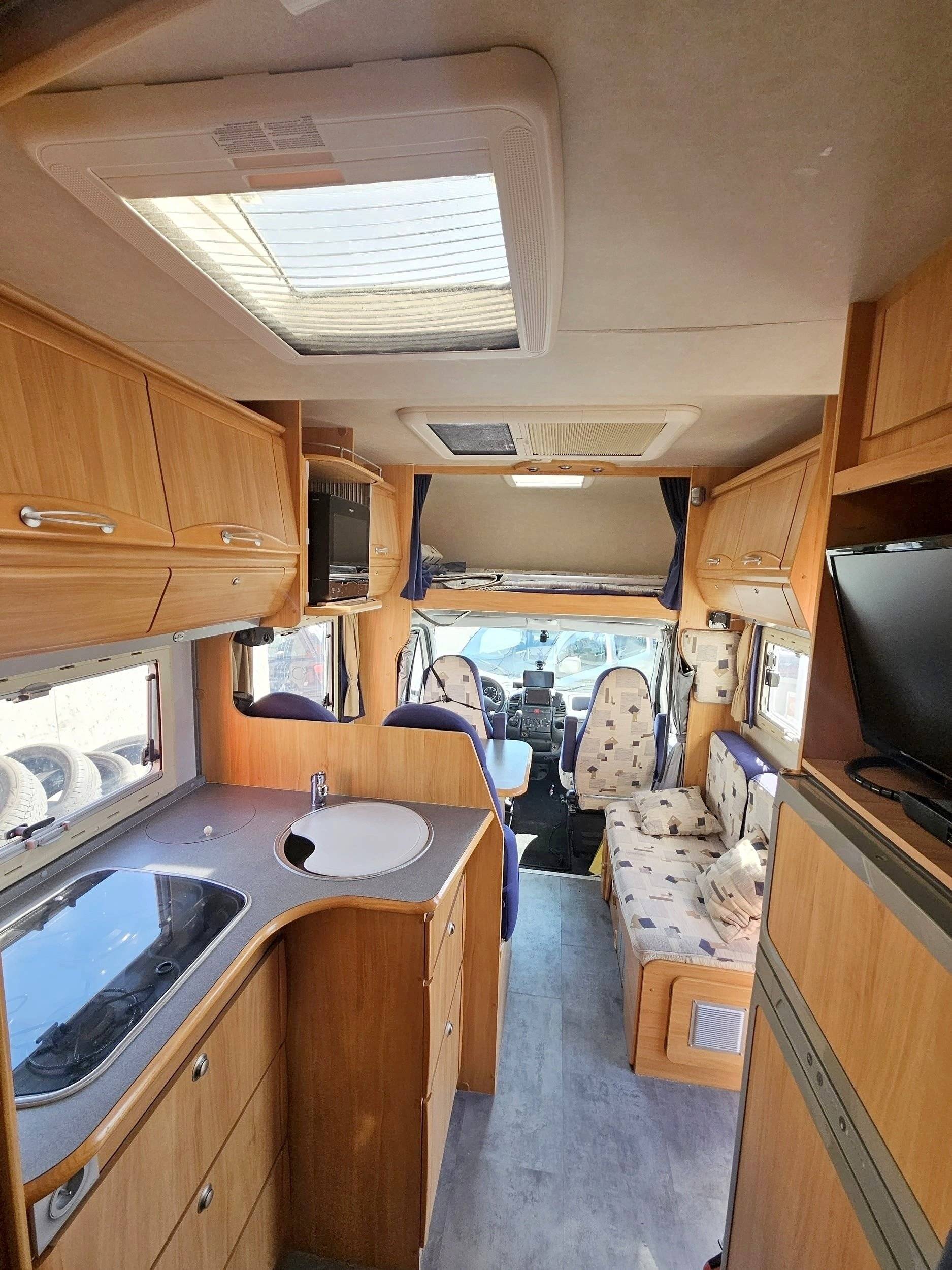 Adria Adria coral   sp660